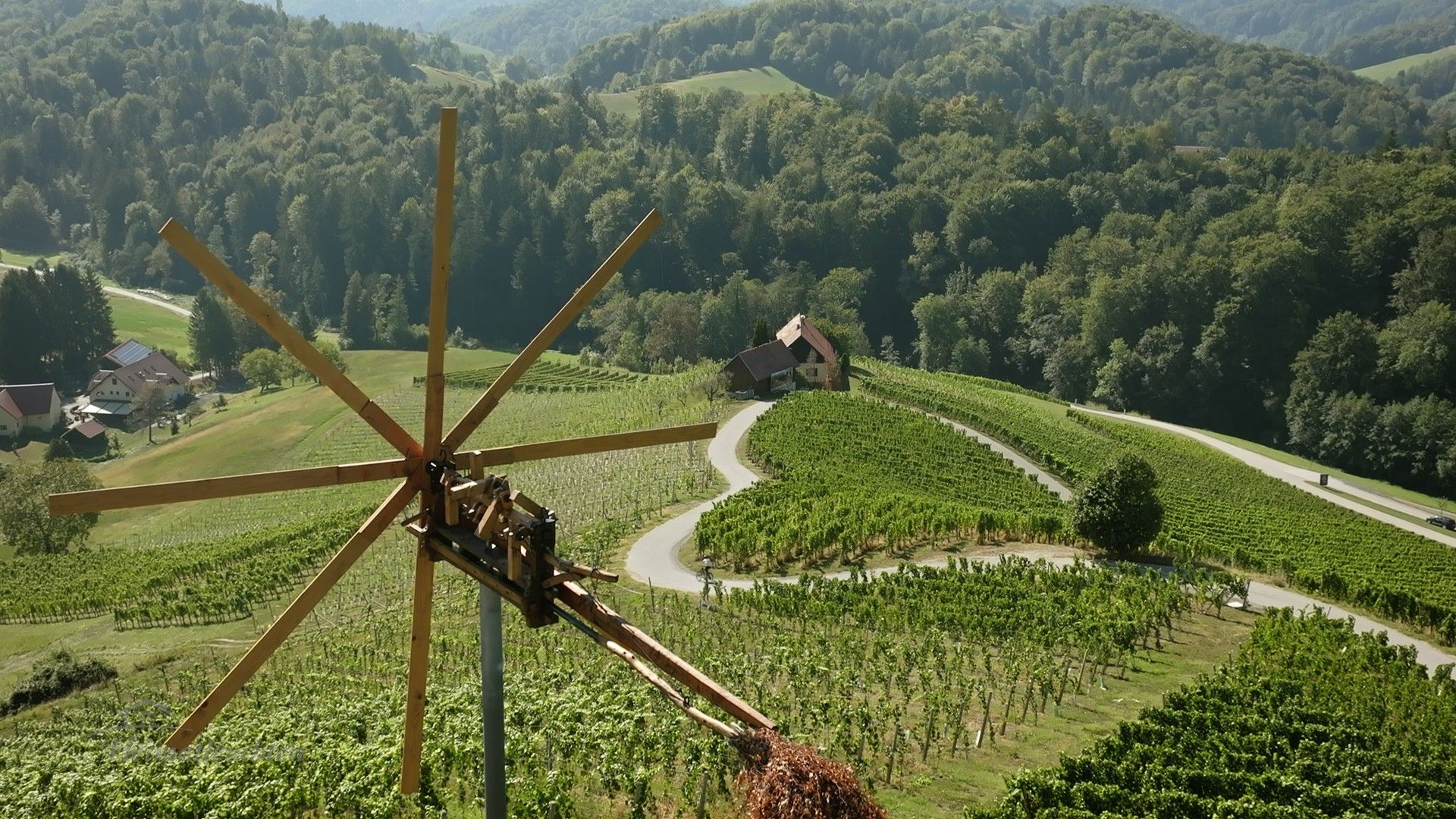 Werkeln mit Hand und Herz - Conny Bürgler in der Südsteiermark