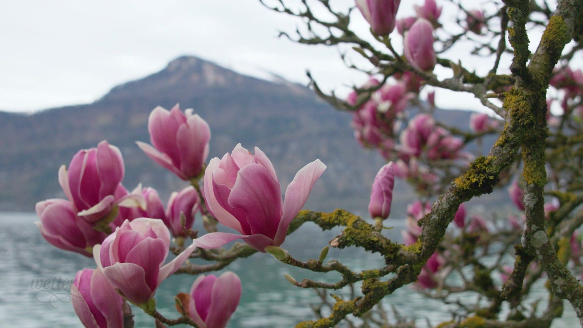 28. April - Servus Wetter