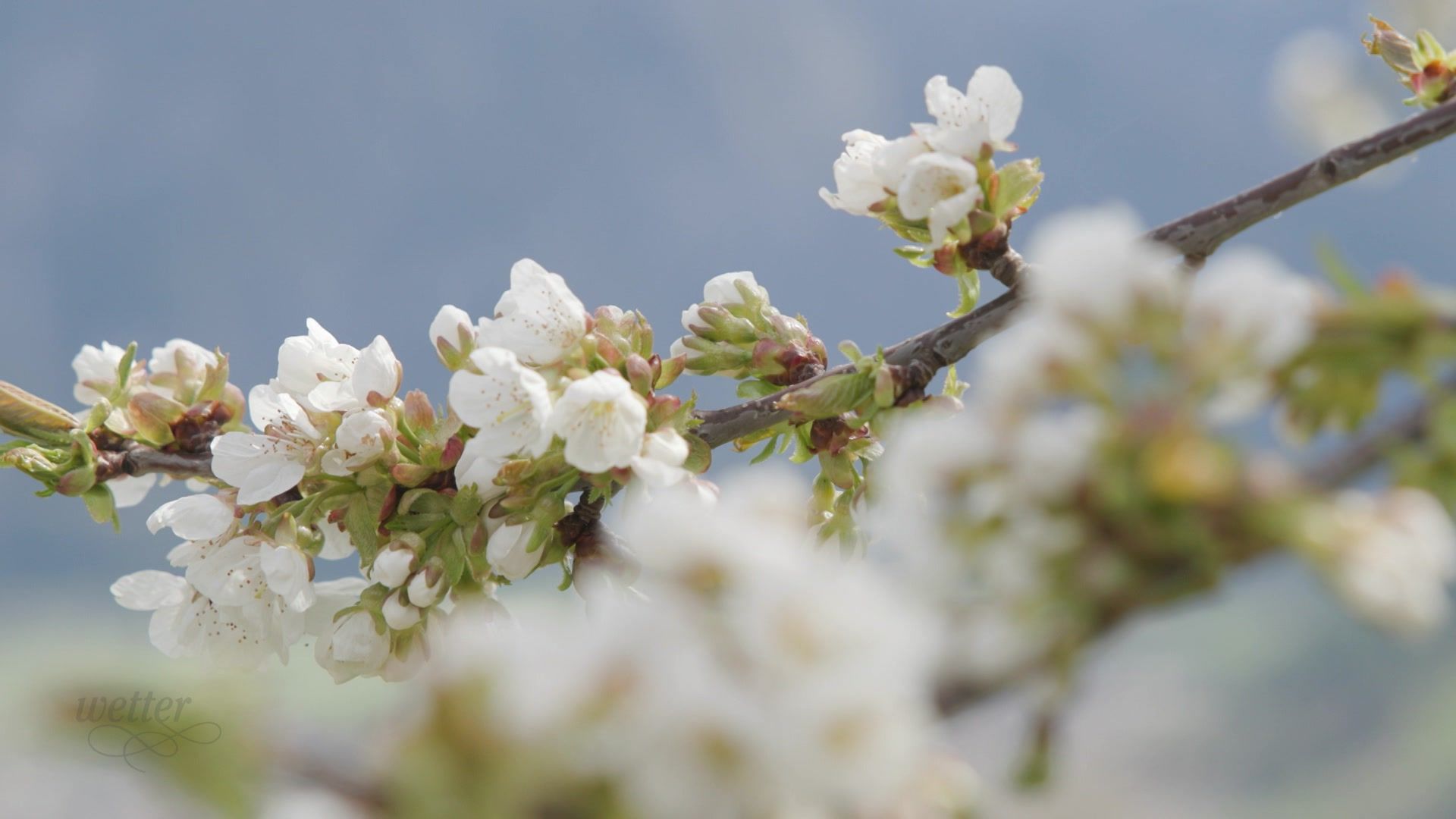 27. April - Servus Wetter