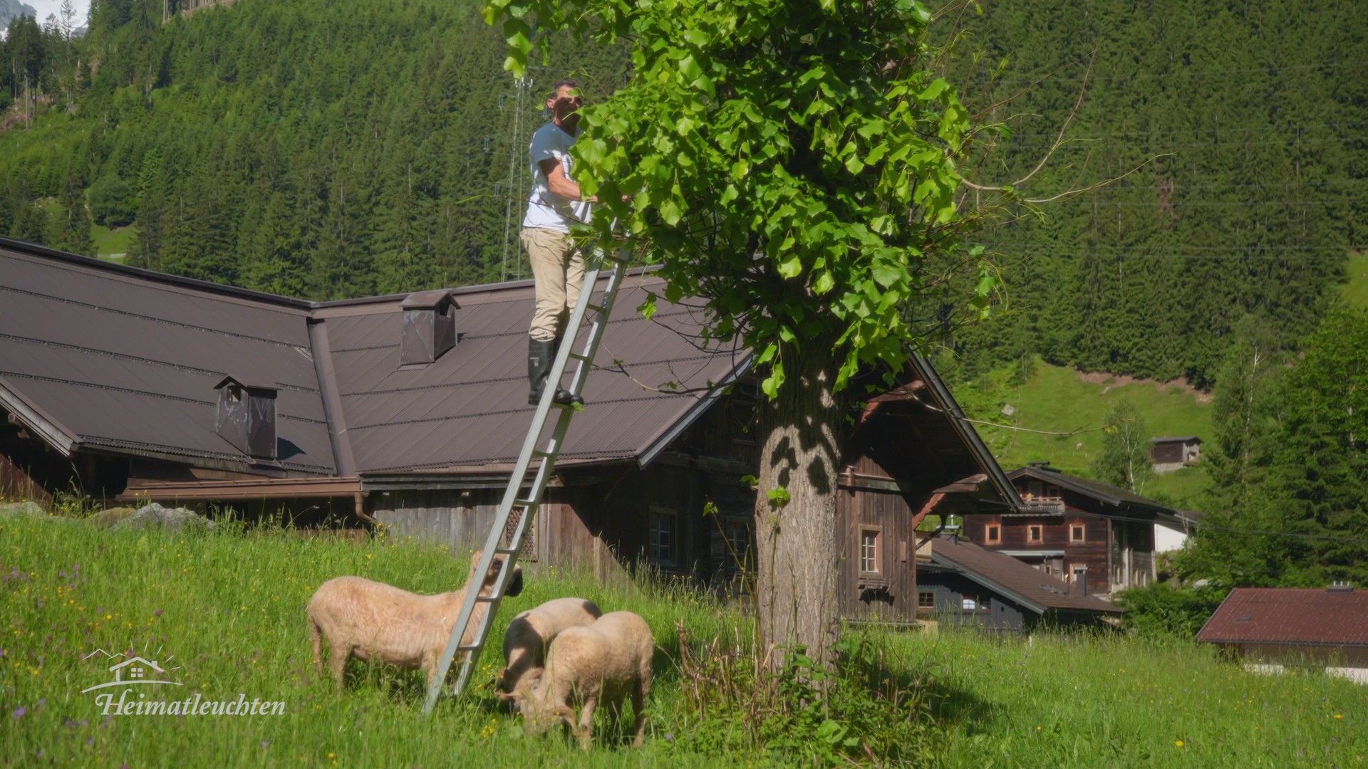 Winzling Ginzling - Tirol ganz anders