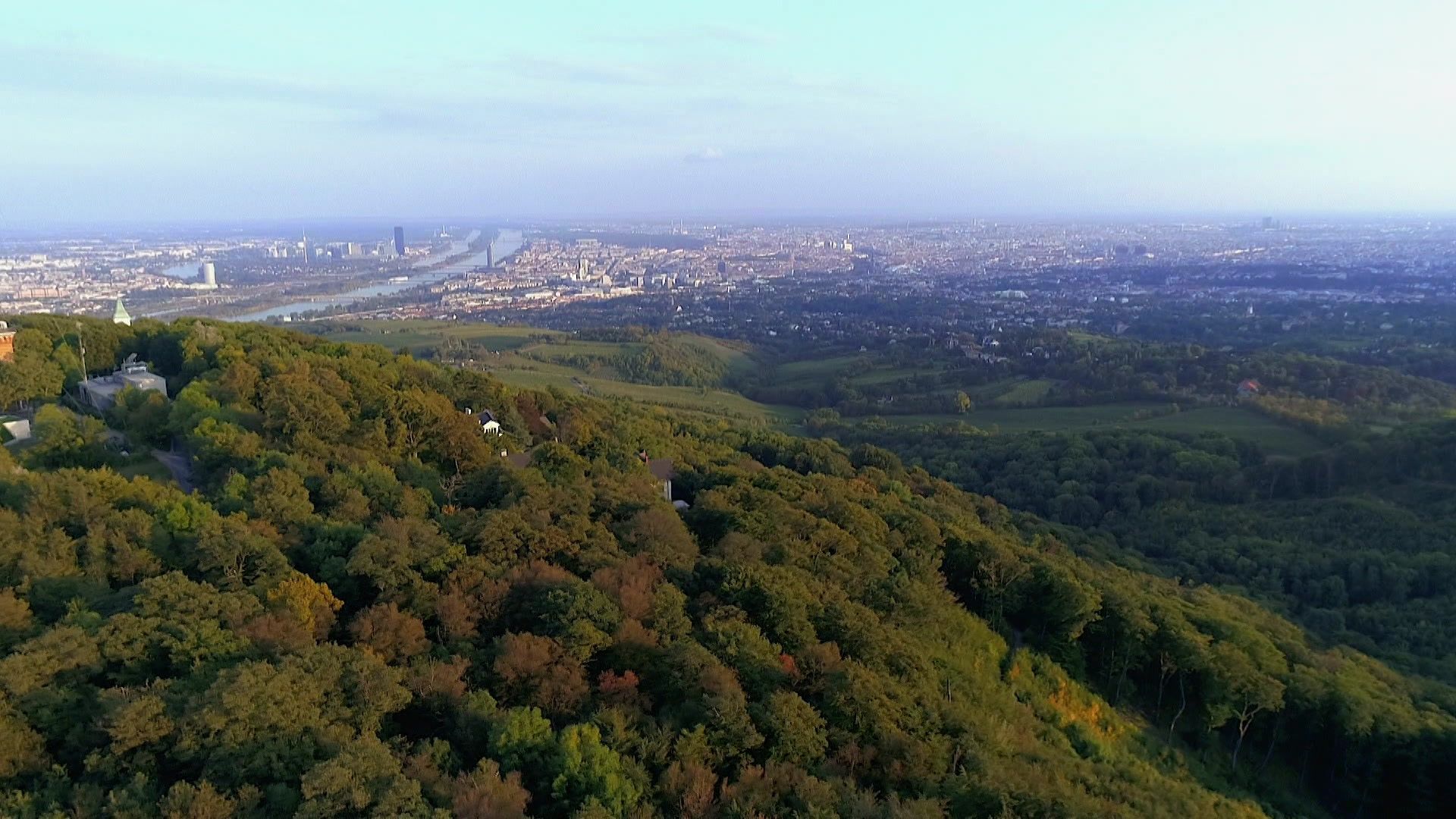 Über Holzhaxn und Holzwege