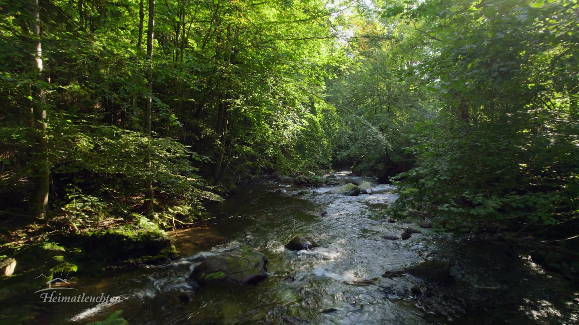 Sanfte Hügel, stramme Hendl - Im Sulmtal-Sausal