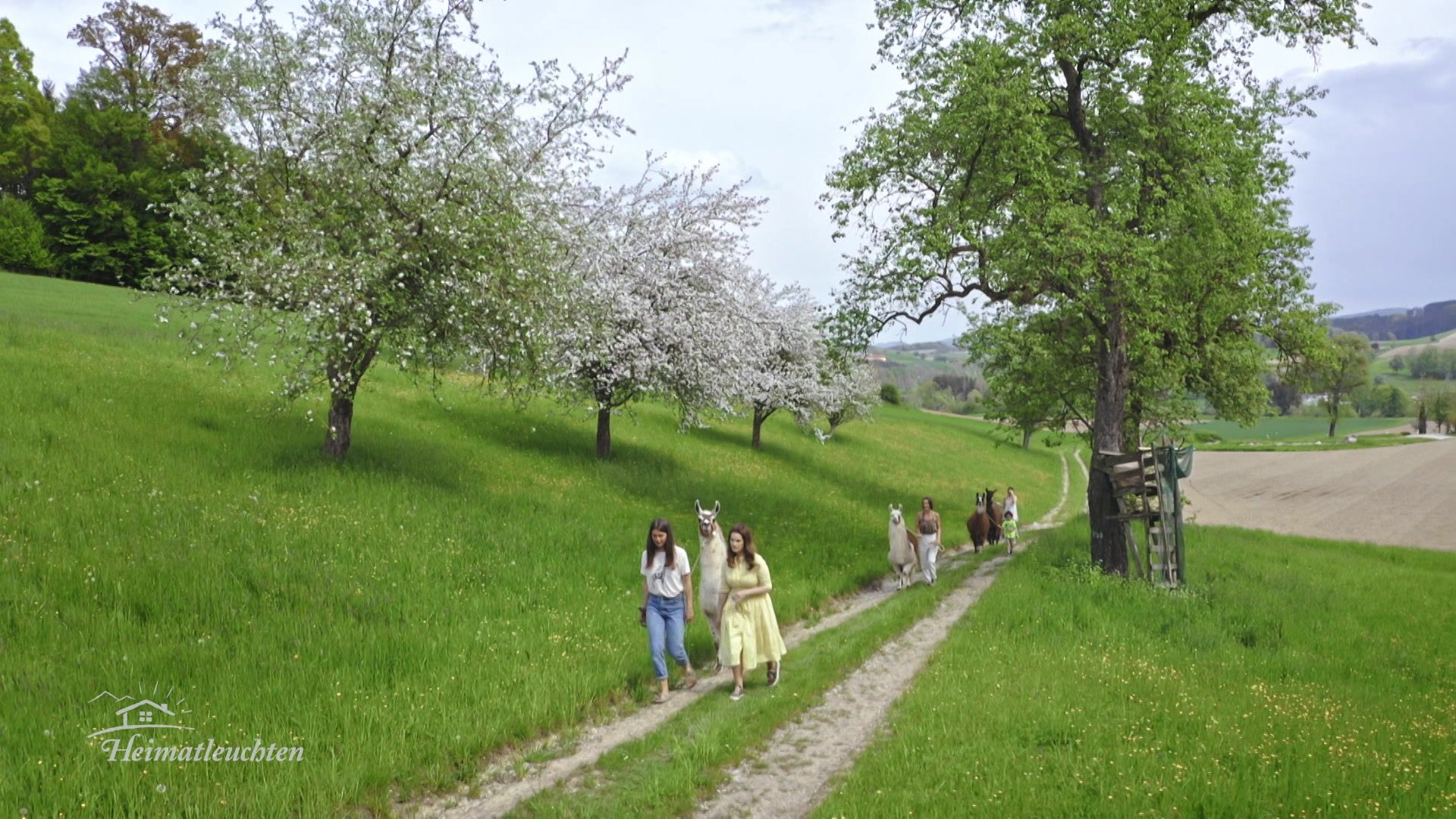 Von Busendorf bis Haxenöd - unterwegs mit Conny Bürgler rund um Melk
