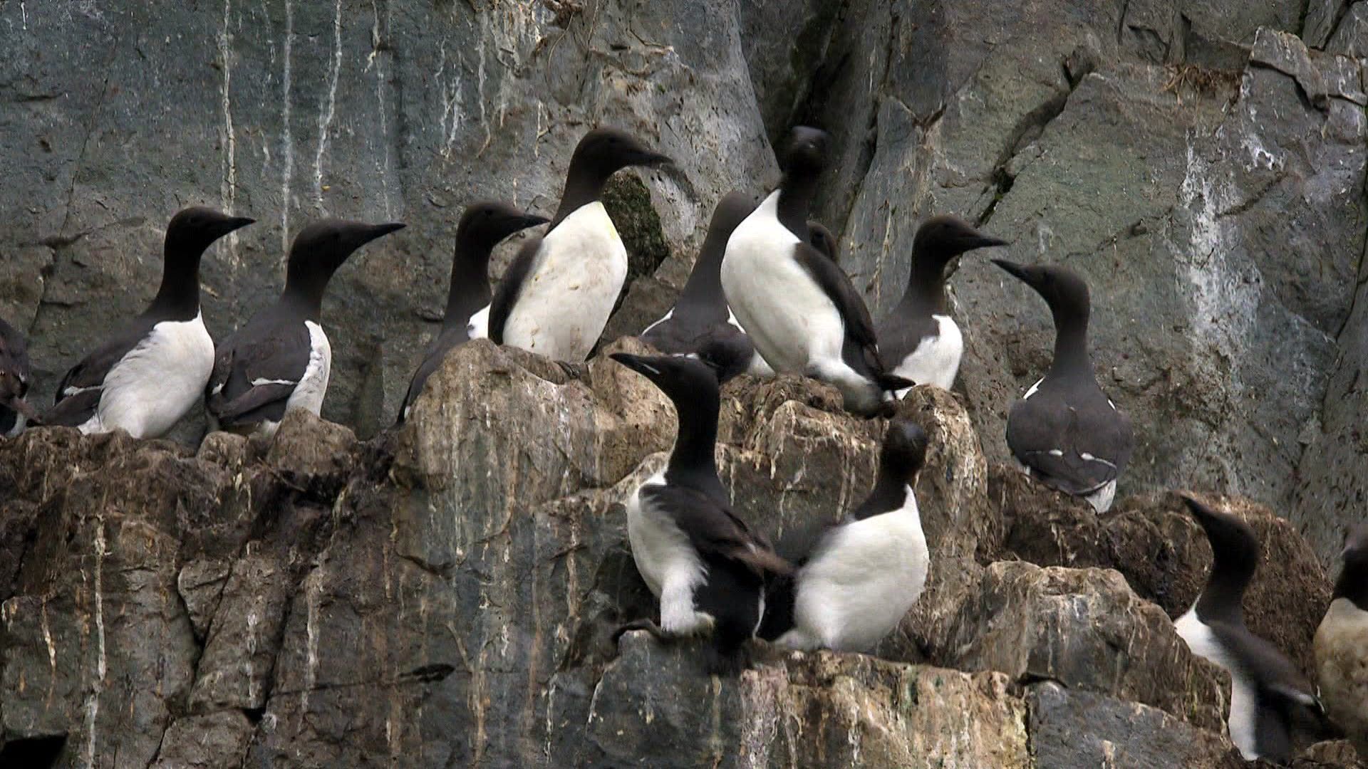 Amur - Asiens Amazonas - Der ferne Osten (1/3)