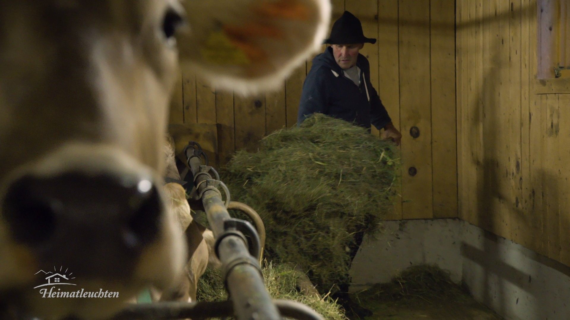 Frühling im Bauernjahr