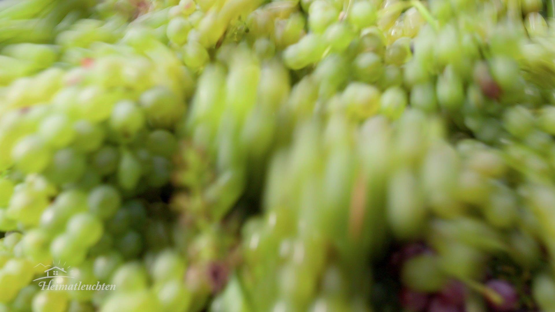 Mit Herz und Hauben - Erlebnisregion Graz