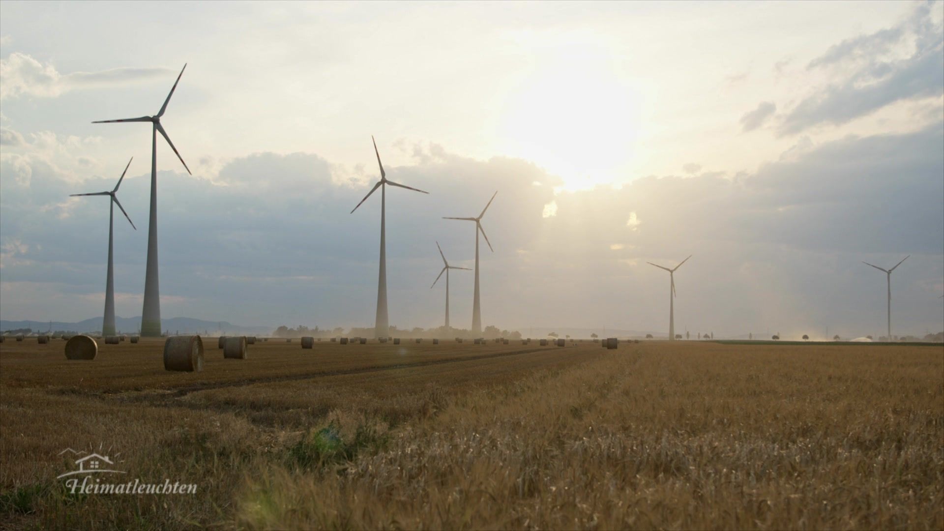 Das Marchfeld - Gurkenflieger und Spargelstecher