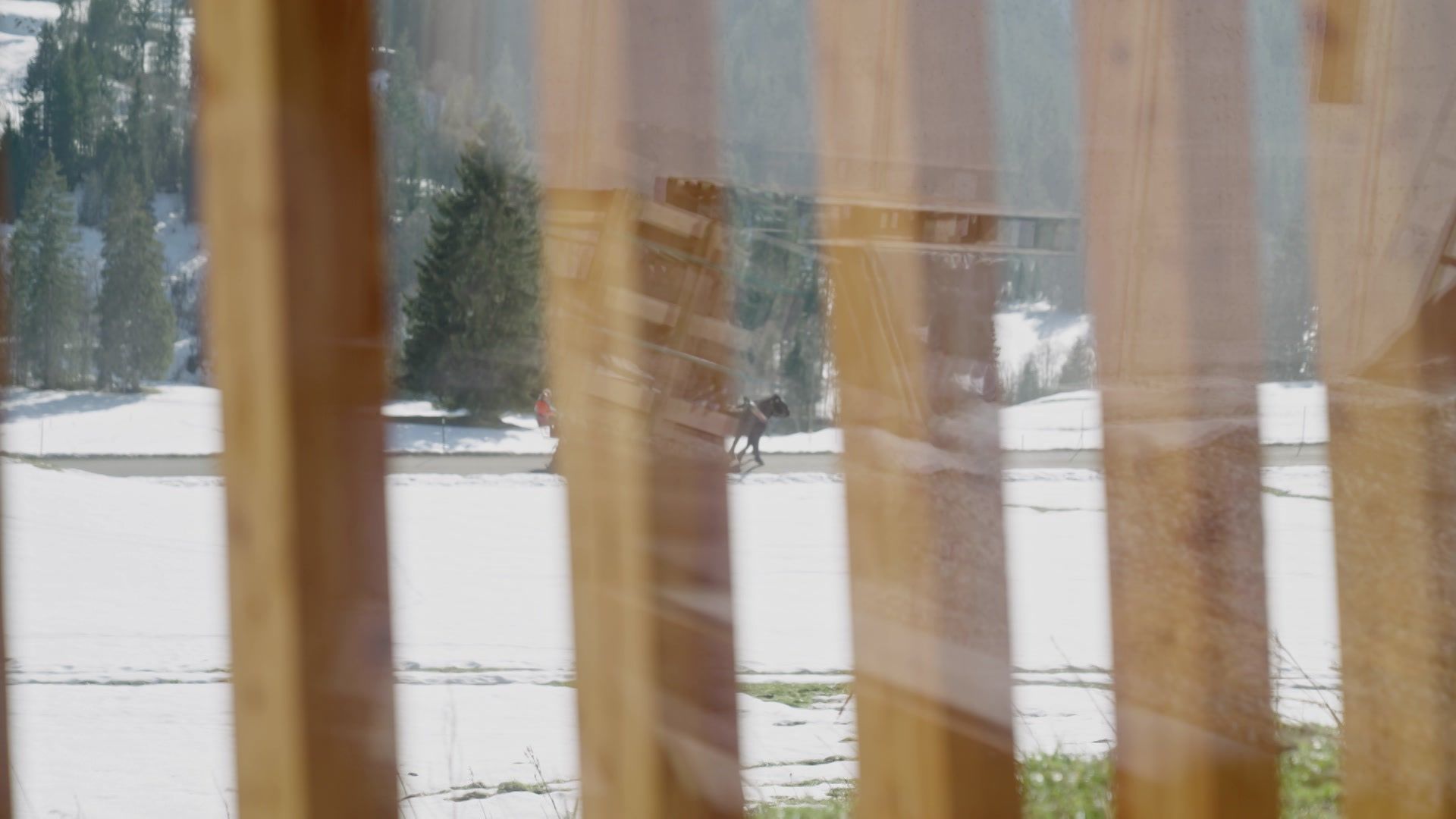 Wohlig warm durch den Winter