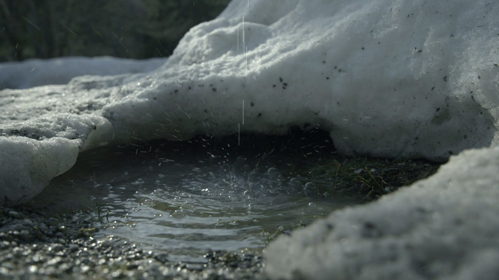 Das verlorene Gold der Alpenfestung
