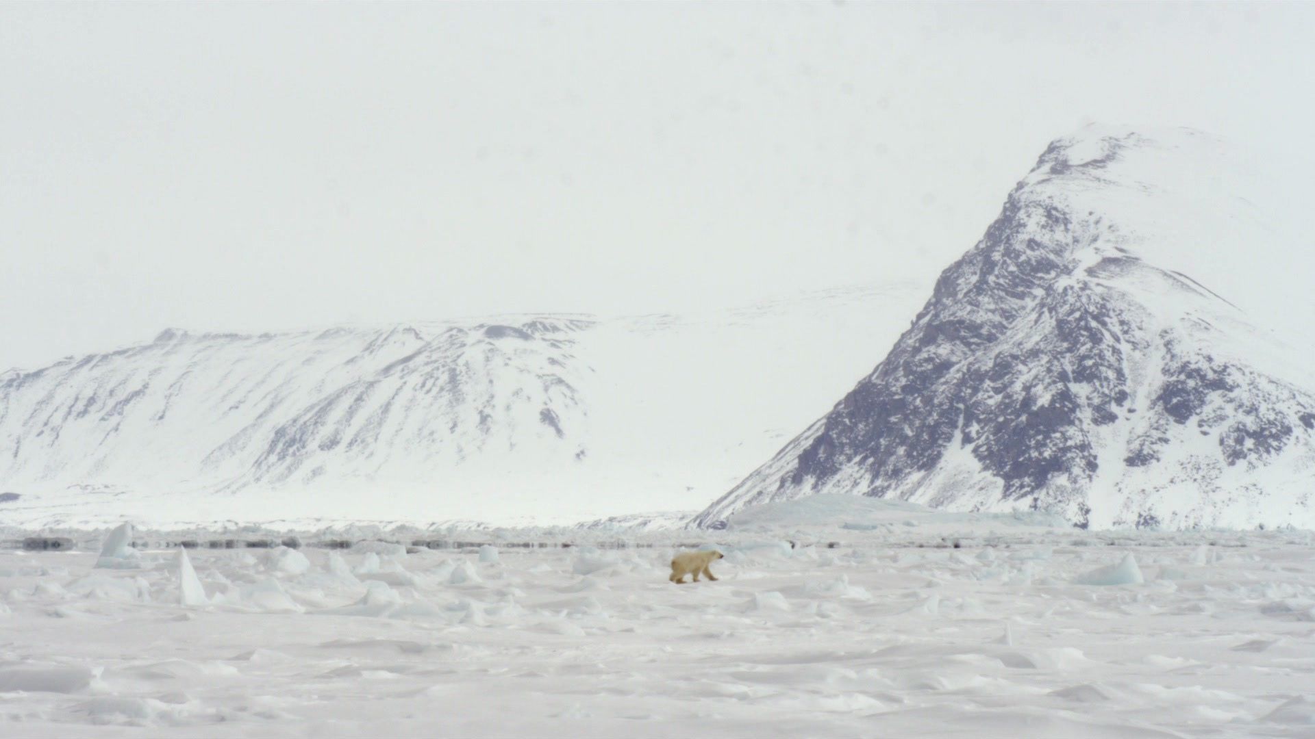 Wildes Kanada - Der Hohe Norden (4/4)