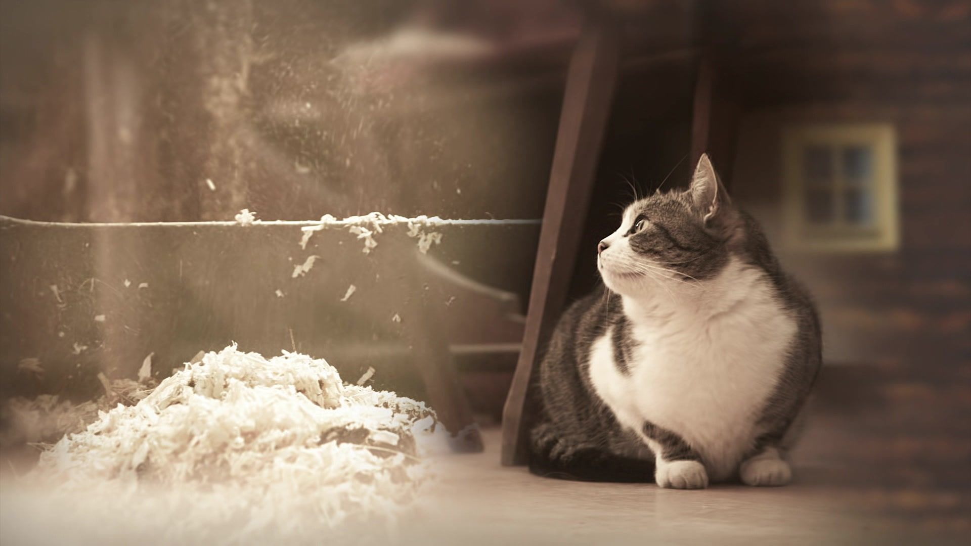 Ich, Bauer - Neues Leben am alten Hof