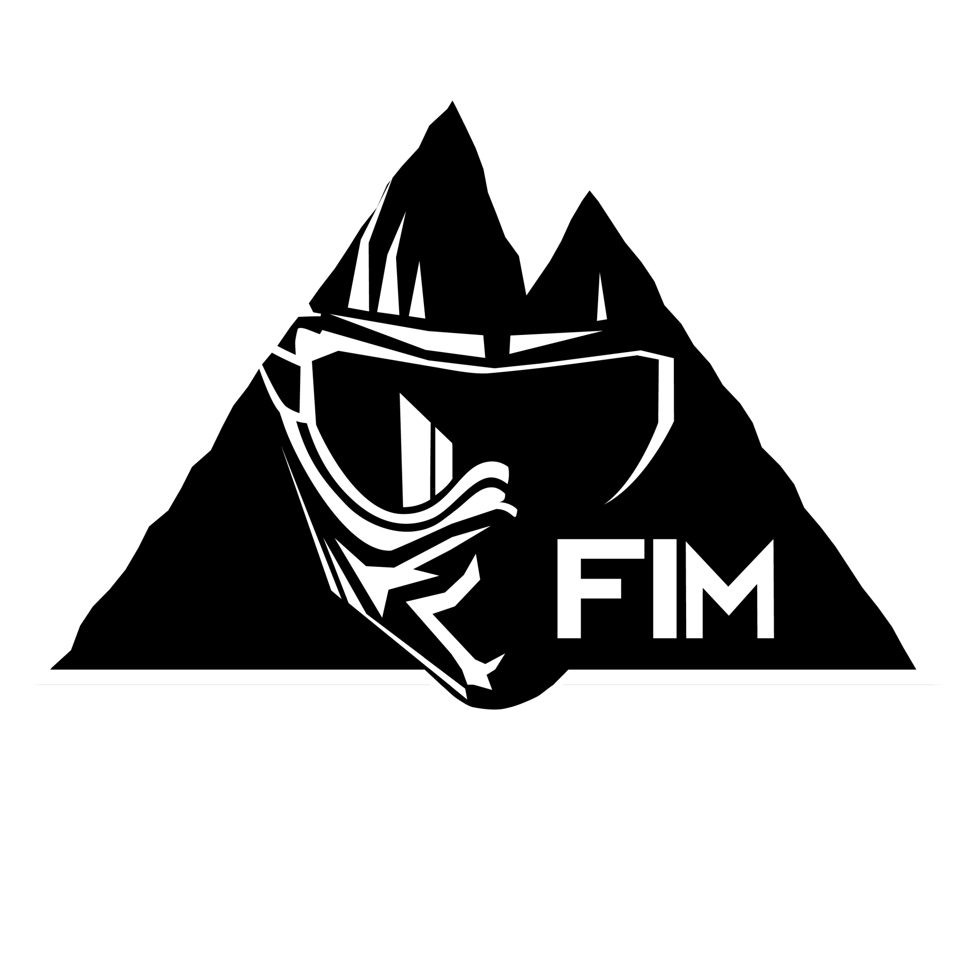 FIM Hard Enduro World Championship