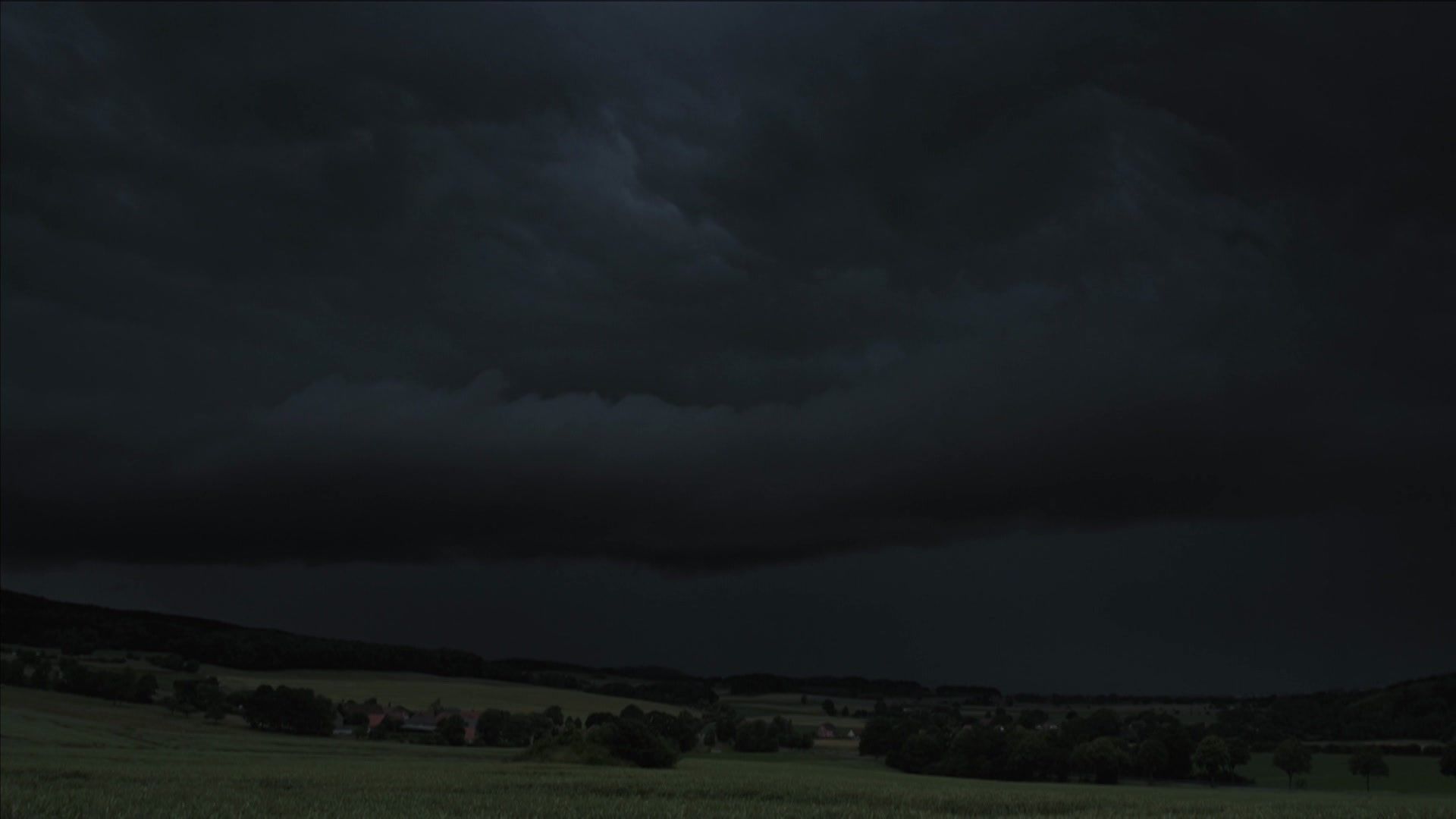 Der Sturm - Tiere bei Blitz und Donner