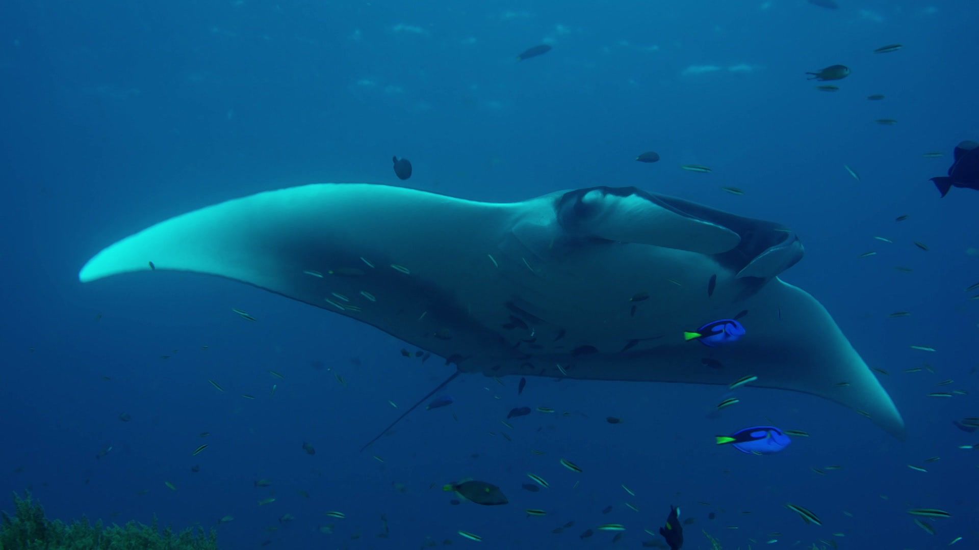 Die Erde - Ein Planet im Portrait: Wasser (3/3)