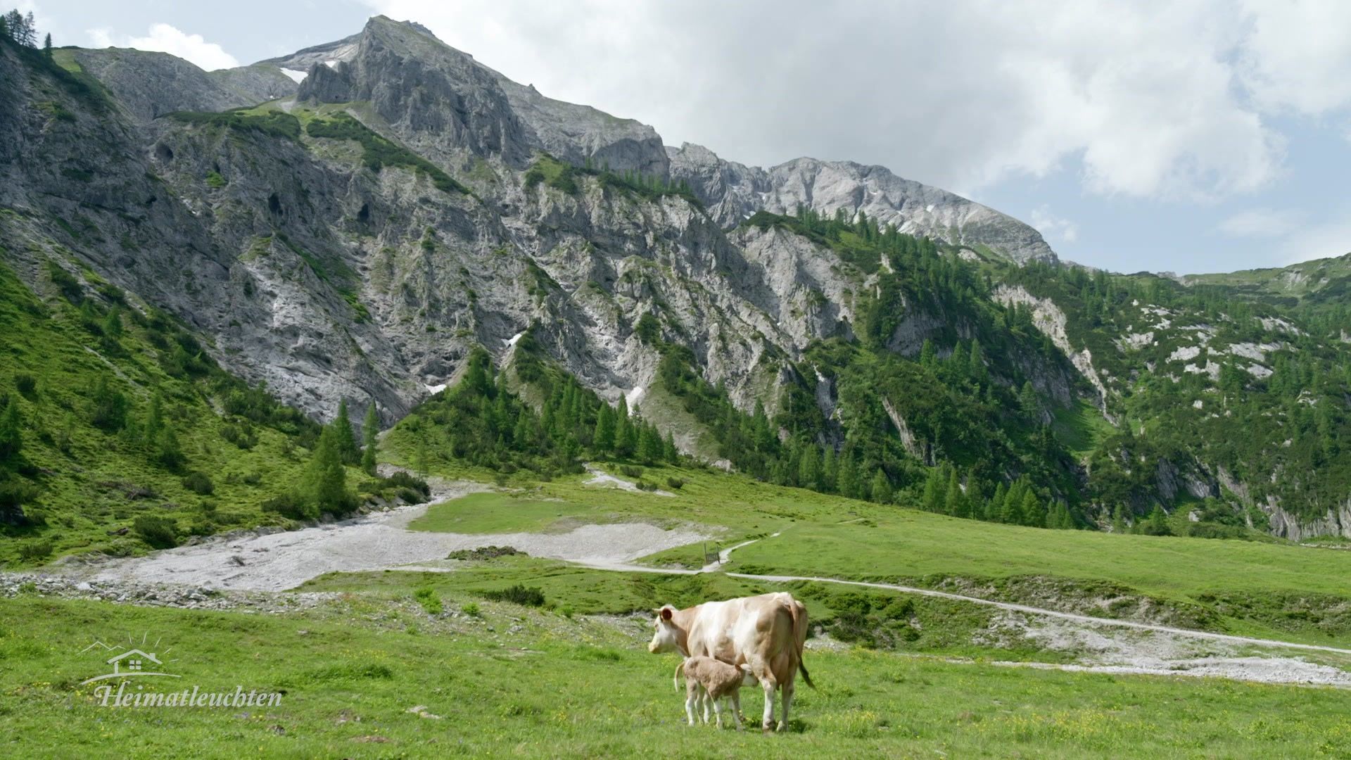 Hin über d'Alm - auf der steirischen Ursprungalm mit Conny Bürgler