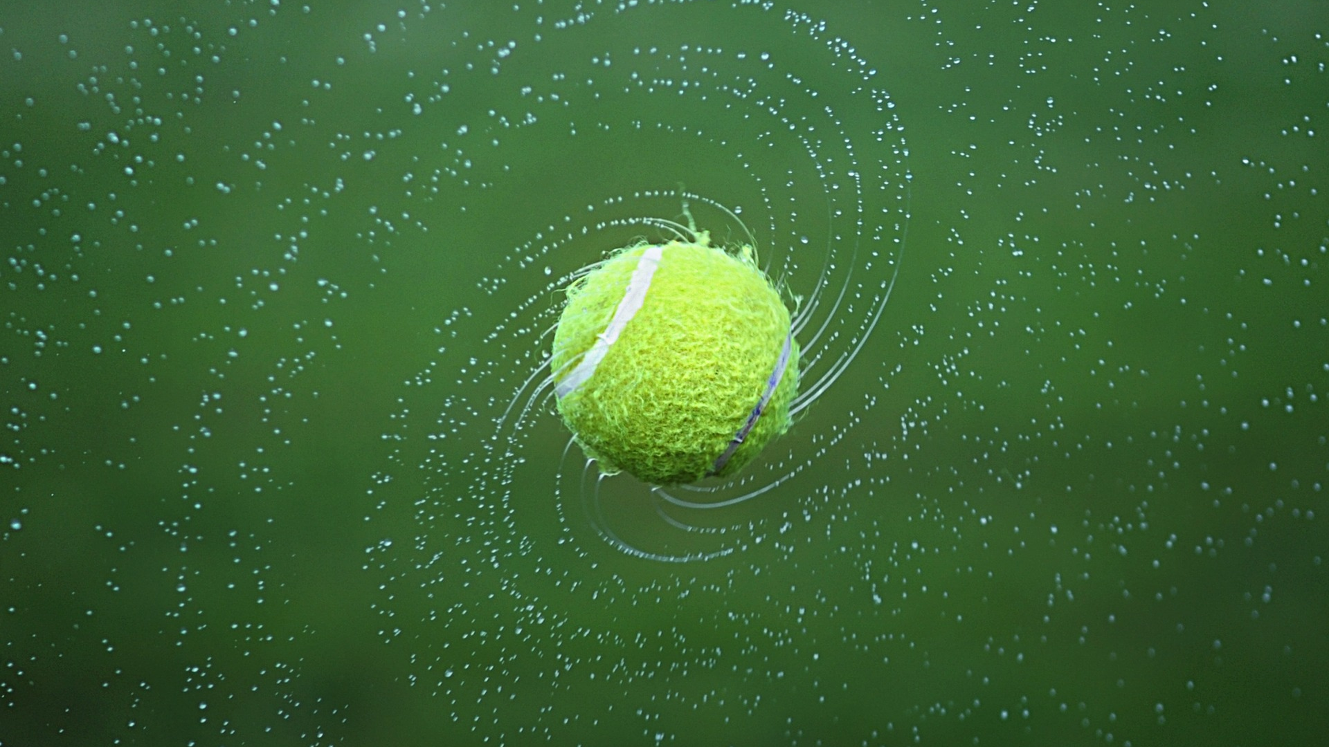 US Open Titelbild