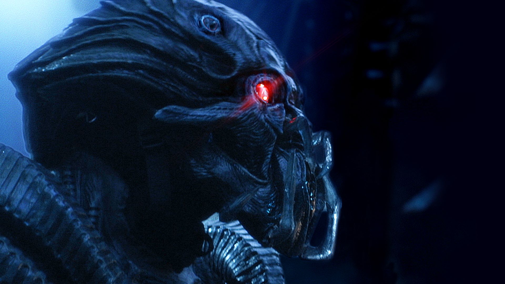 Beyond Skyline