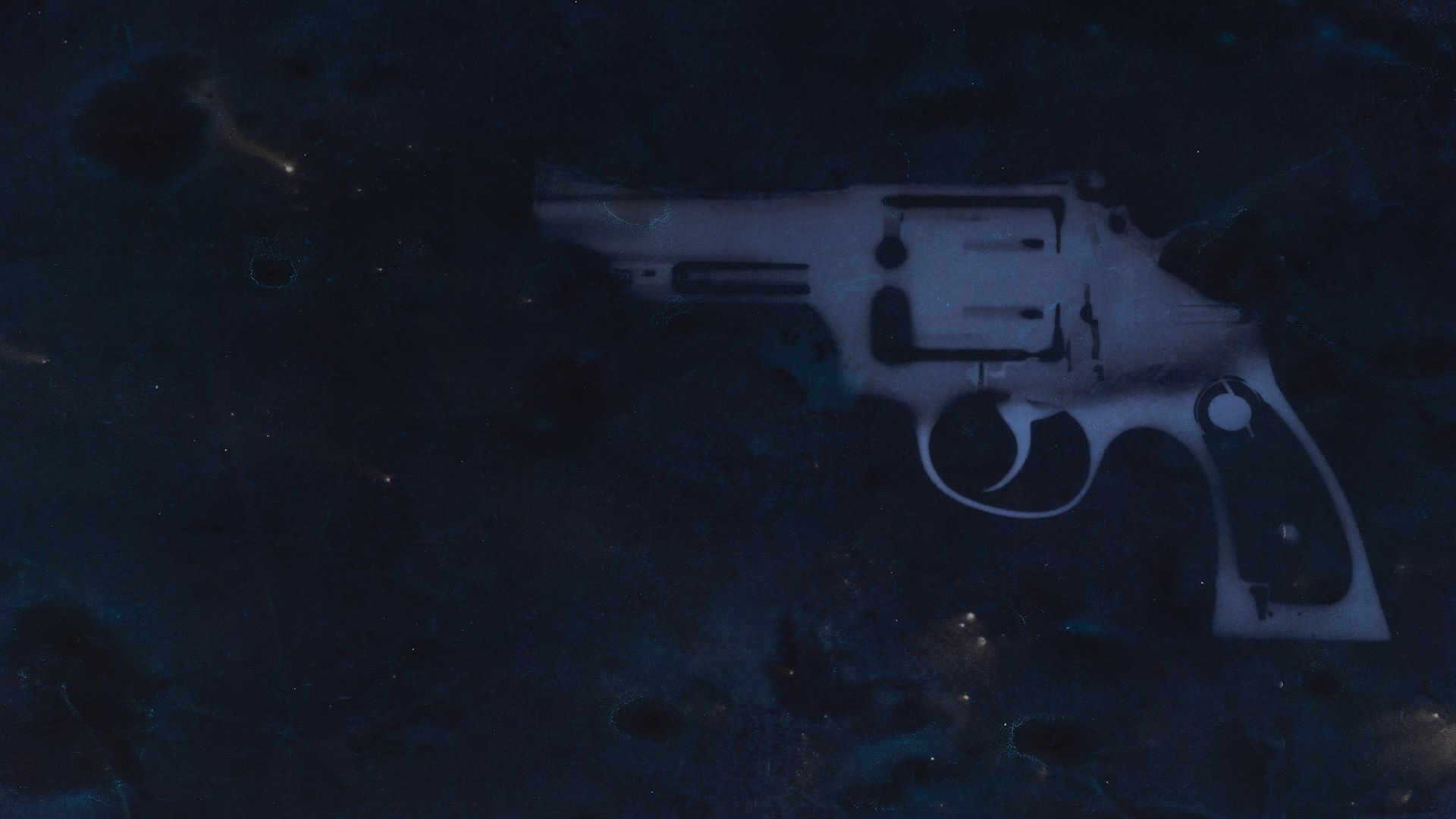 Operation Undercover: Einsatz in South Carolina (Special)