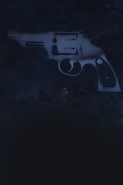 Operation Undercover: Einsatz in South Carolina (Special)