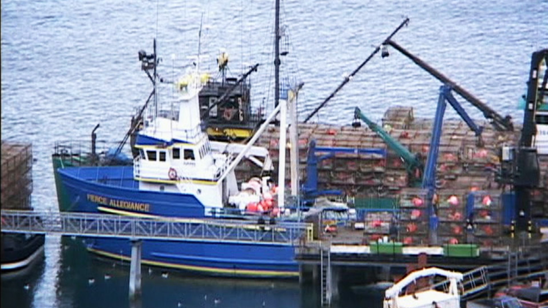 Kein Zurück für Grünschnäbel