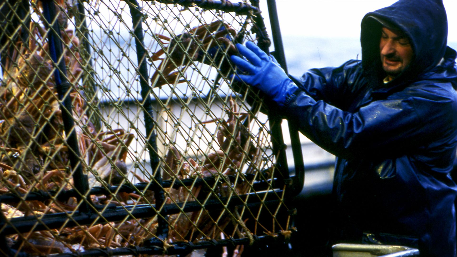 Die Stunde des Siegers