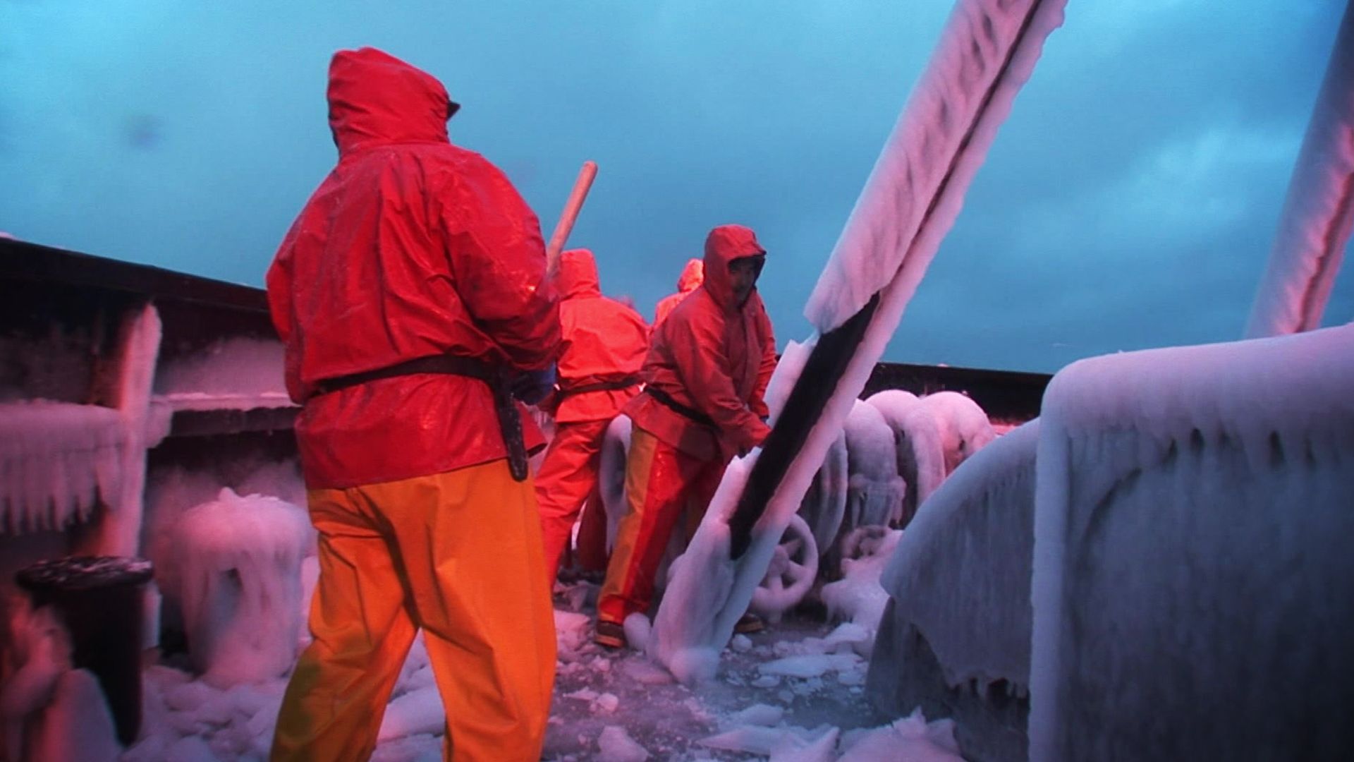 Die Leiden der Greenhorns
