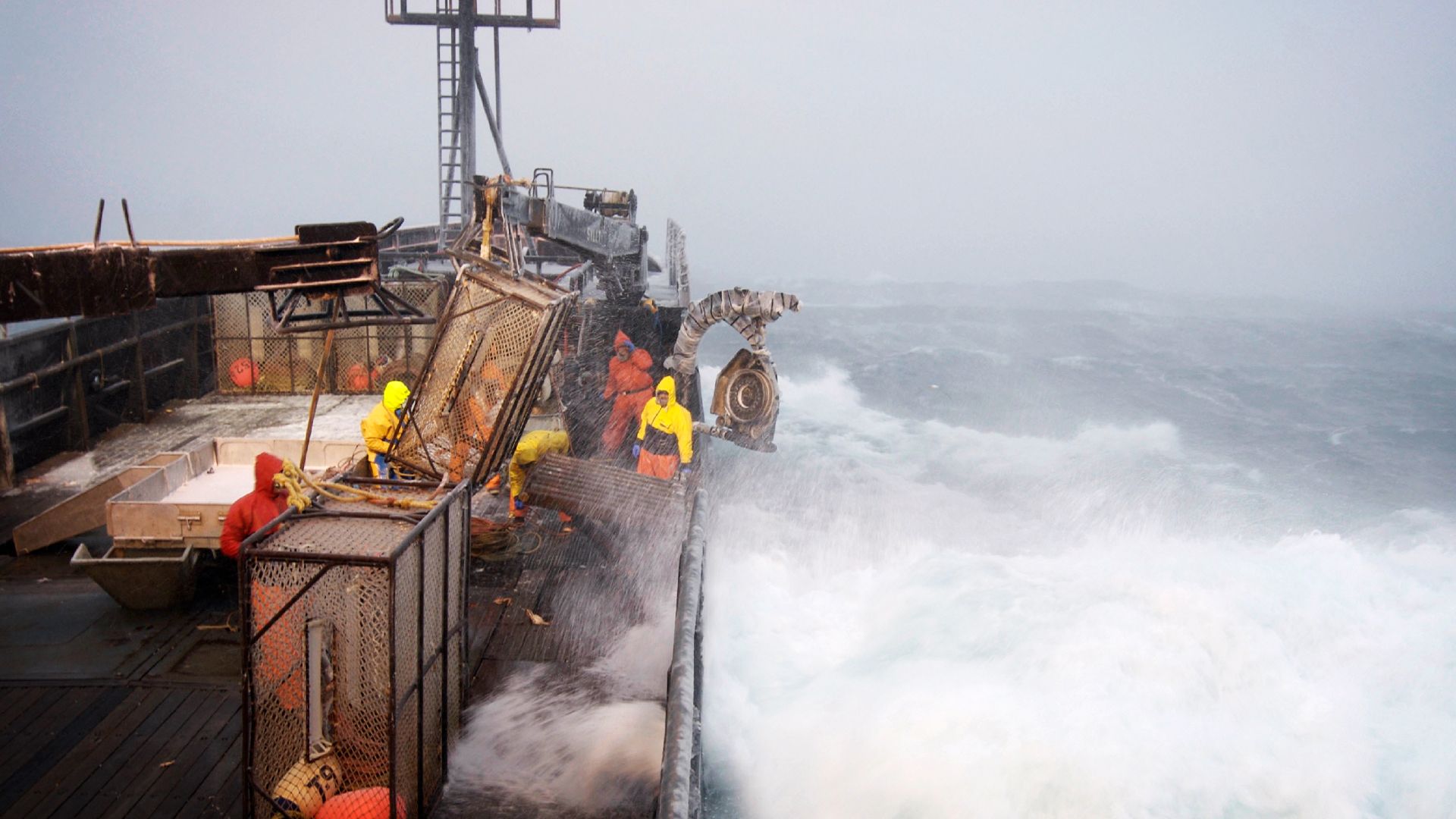 Lehrstunde für Anfänger