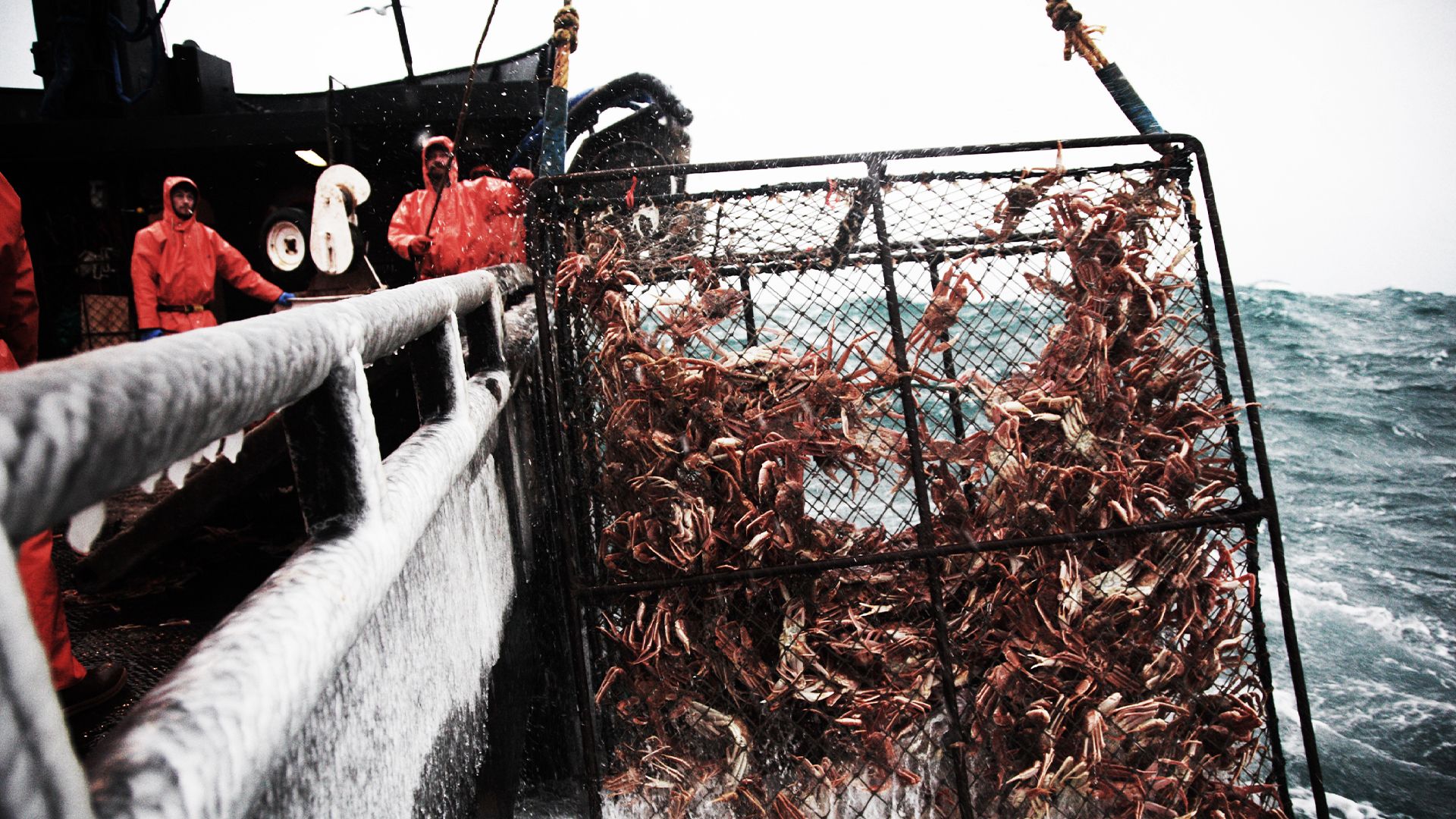 Die Bering-See-Demenz