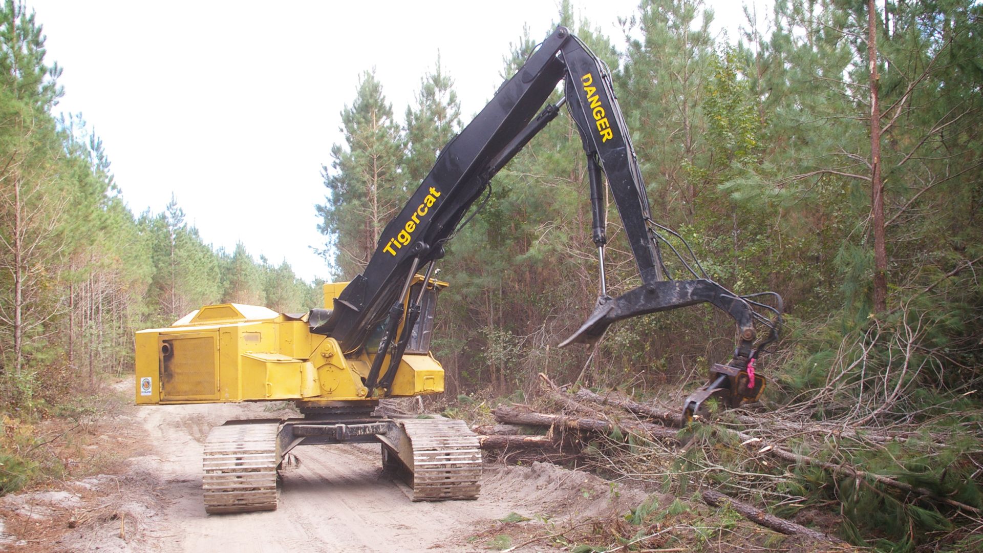 Mit dem Rücken zur Wand