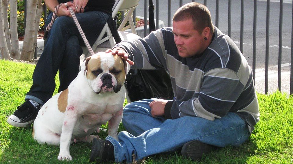 Viel Lärm um nichts