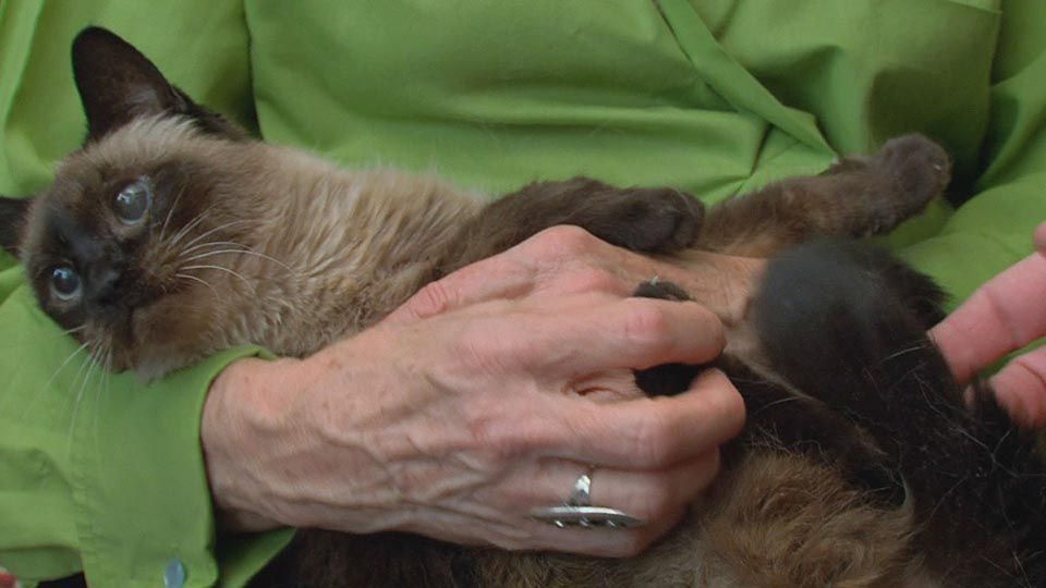 Kein Respekt vor dem Alter