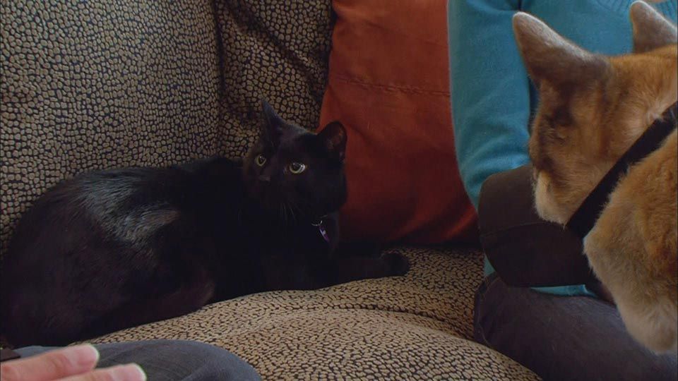 Ein Tempel für Buddha