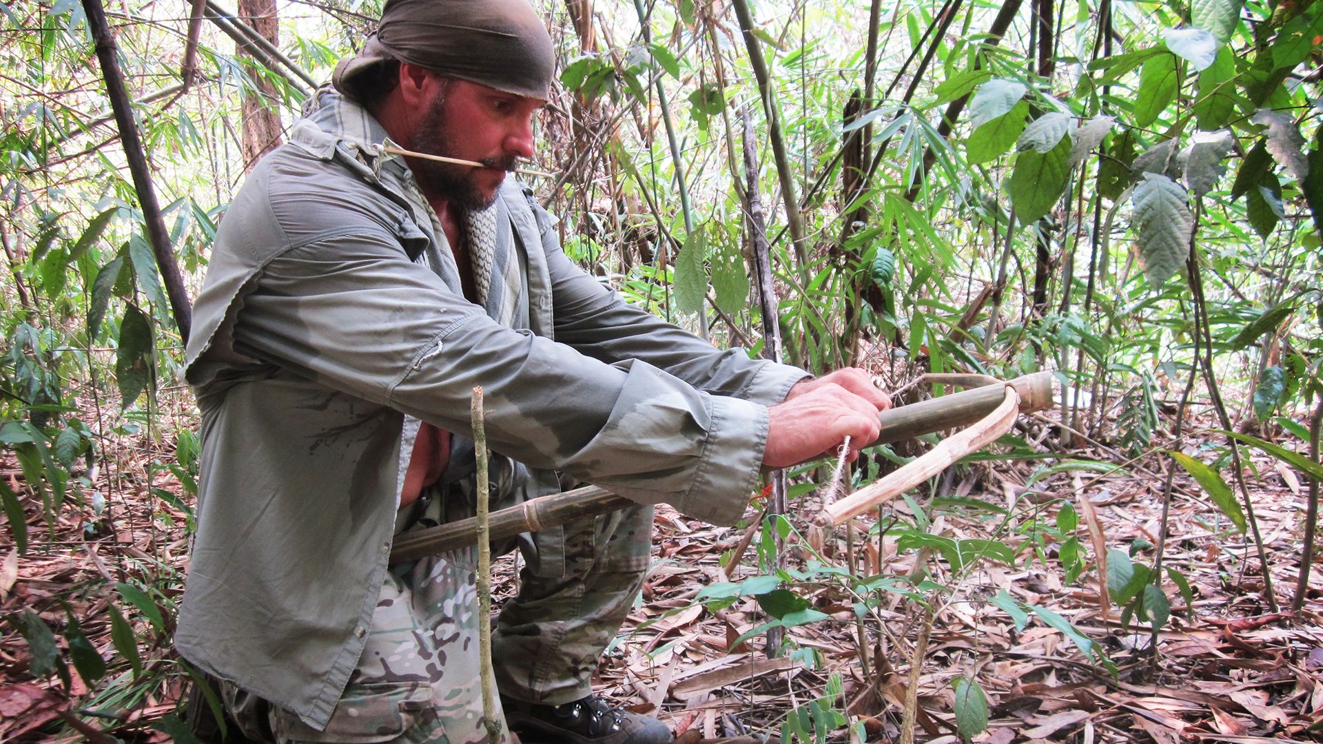 Im Dschungel Vietnams