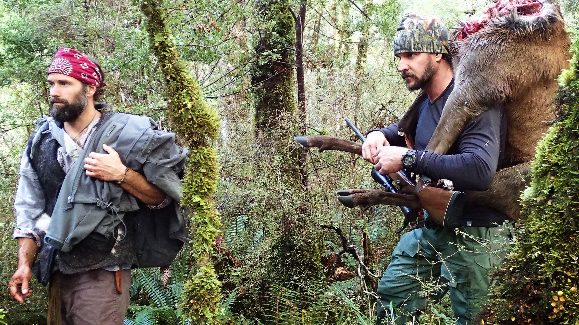 An den Fjorden Neuseelands