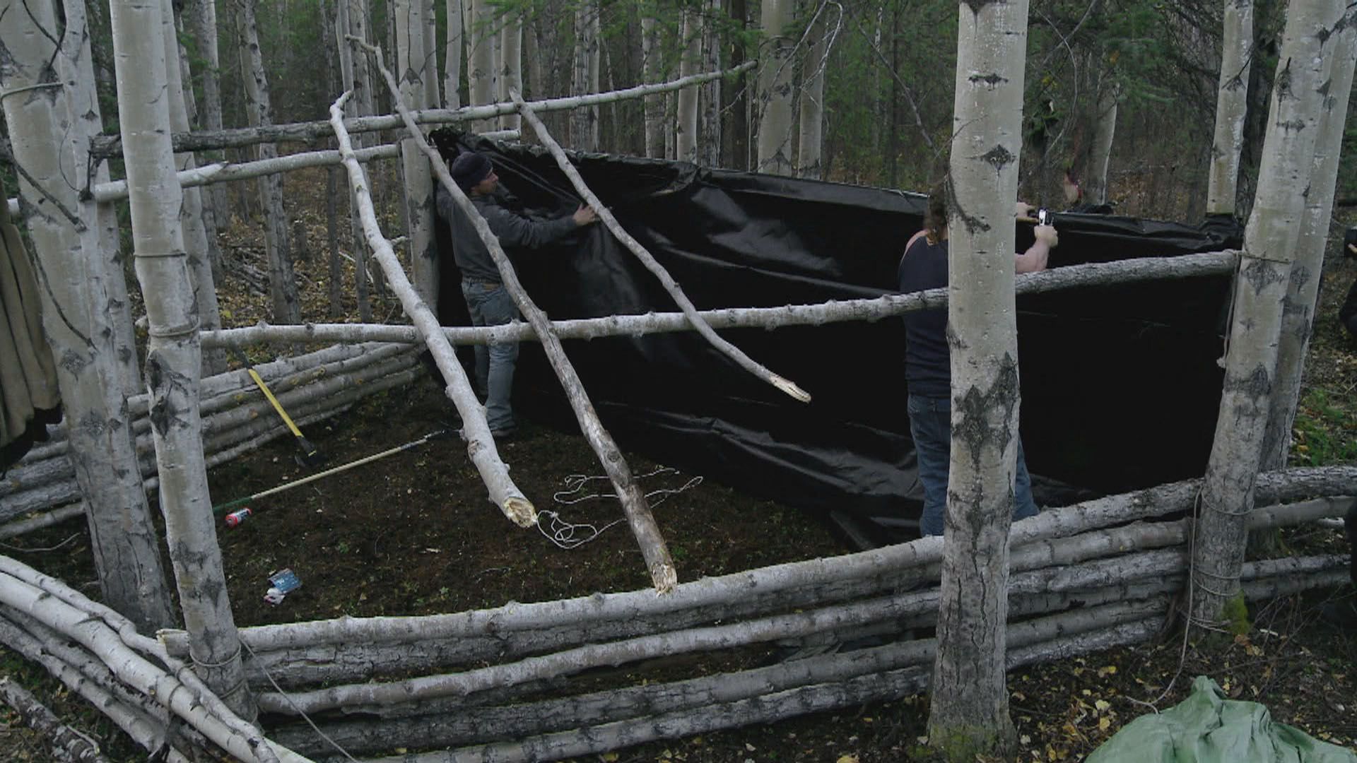 Aufgewachsen in der Wildnis