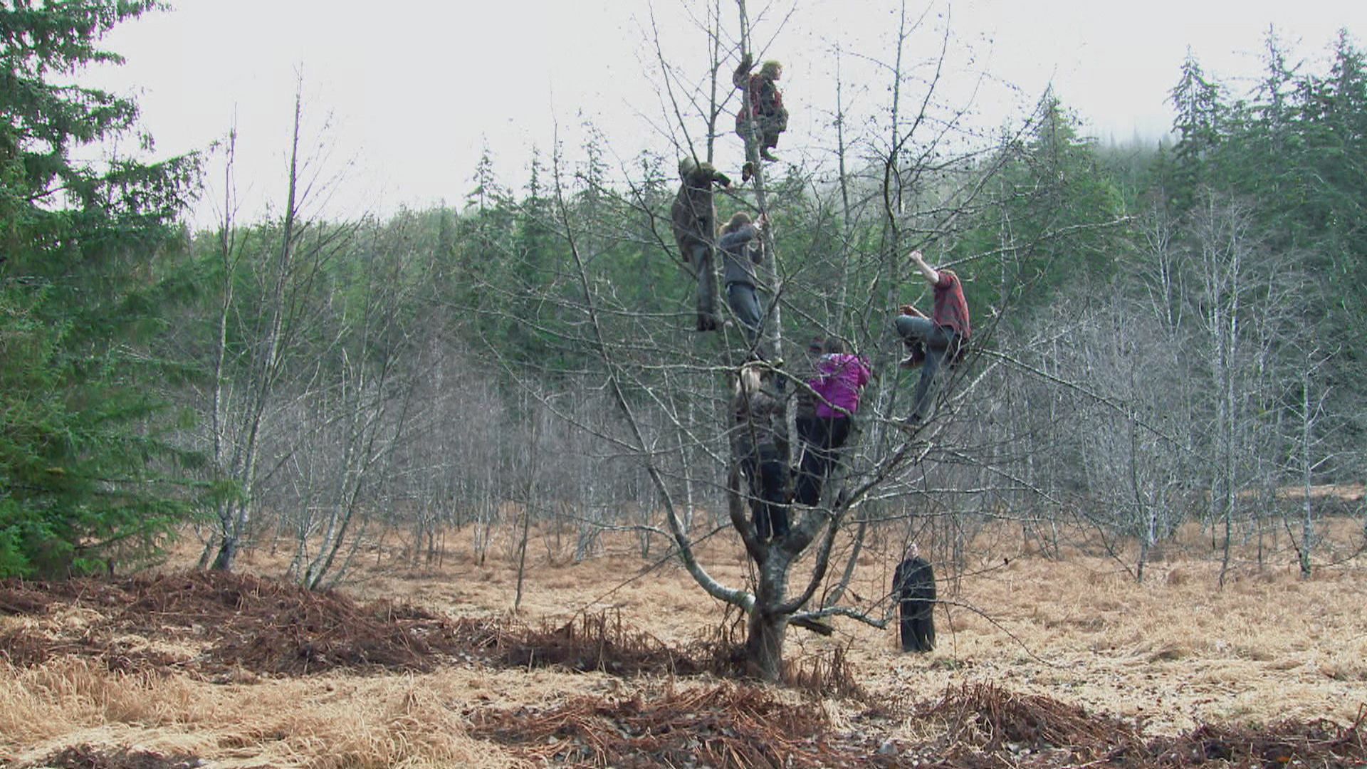 Annäherungsversuche