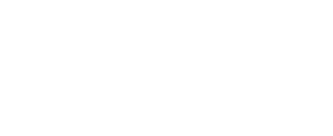Der Pool-Profi