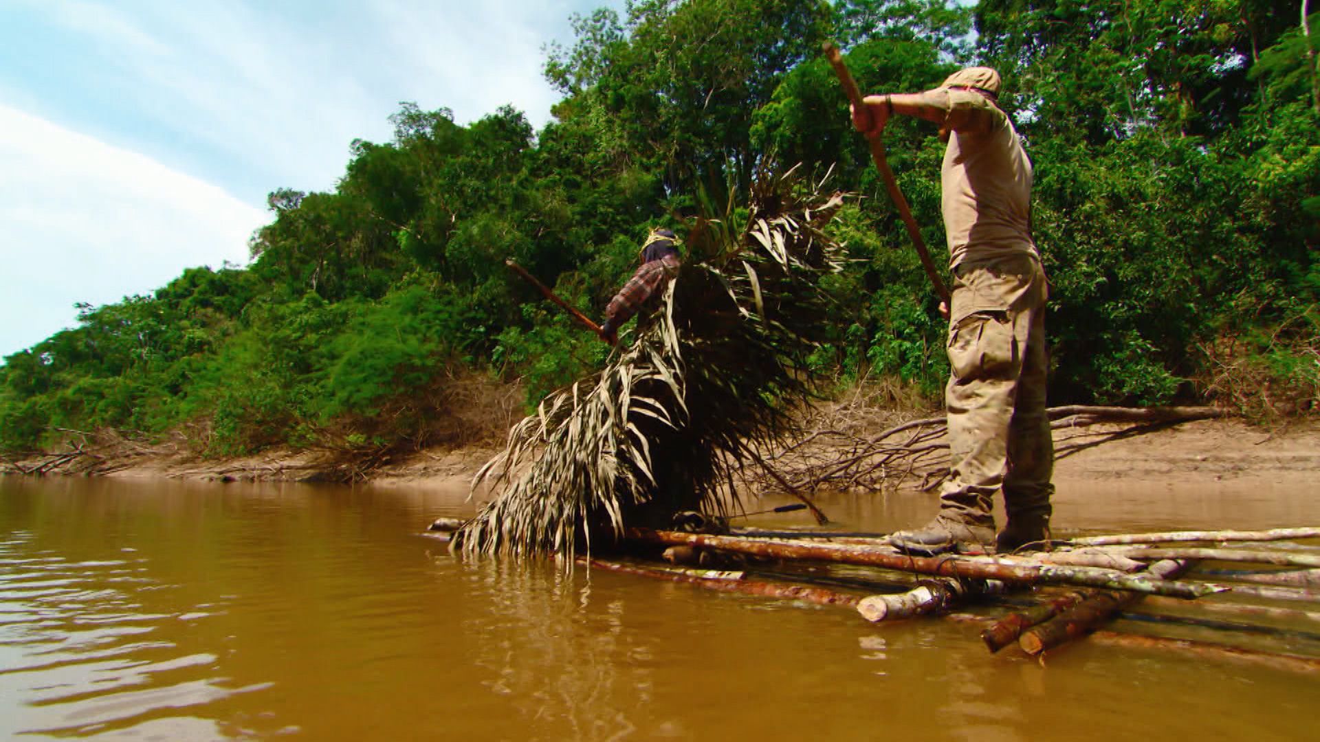 In der grünen Hölle