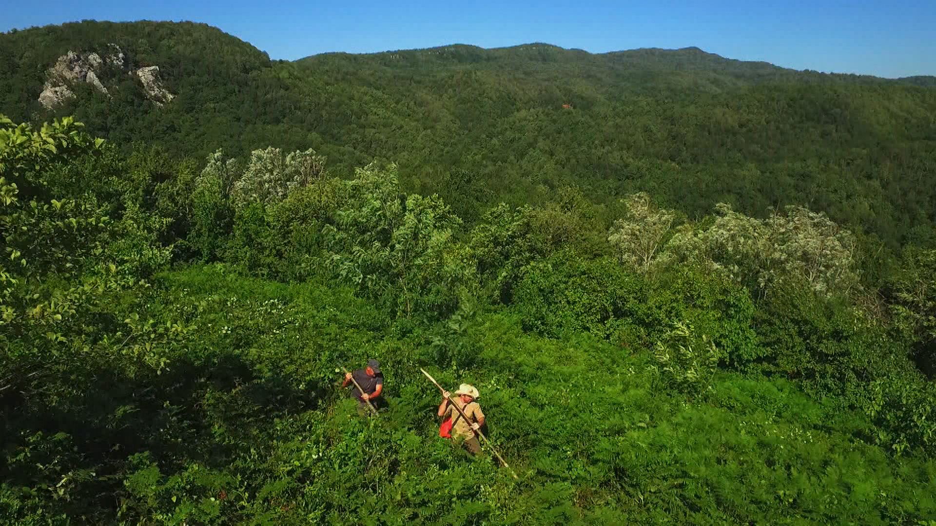 Blackout in Georgien
