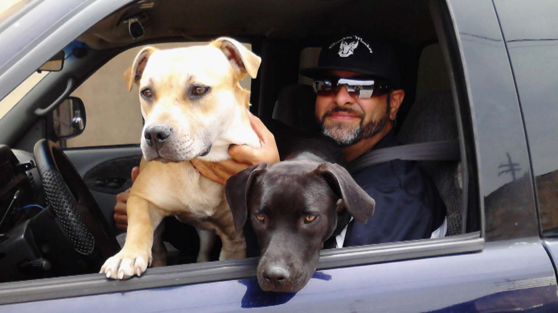 Rettung in letzter Sekunde