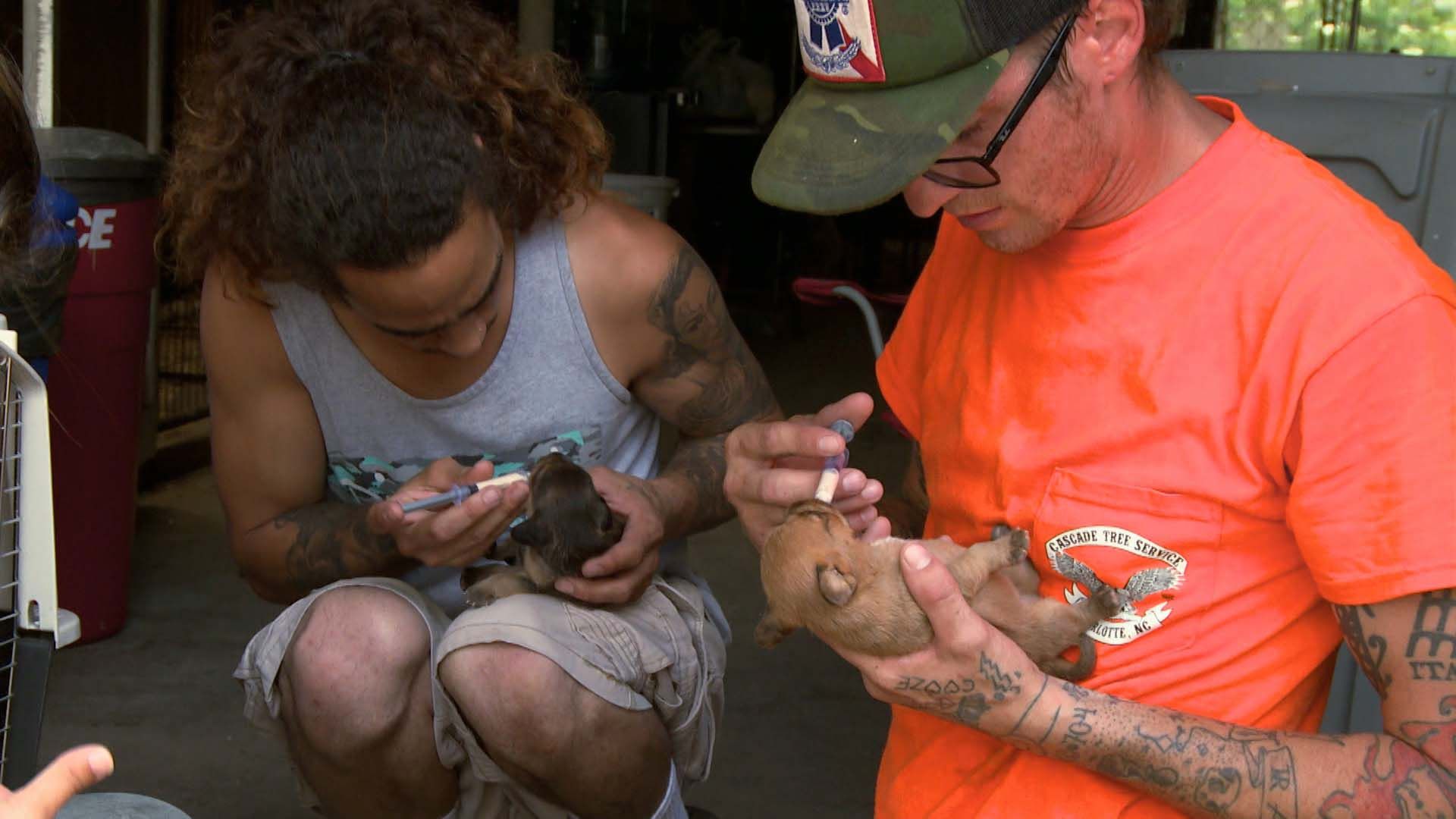 Kein Job für schwache Nerven