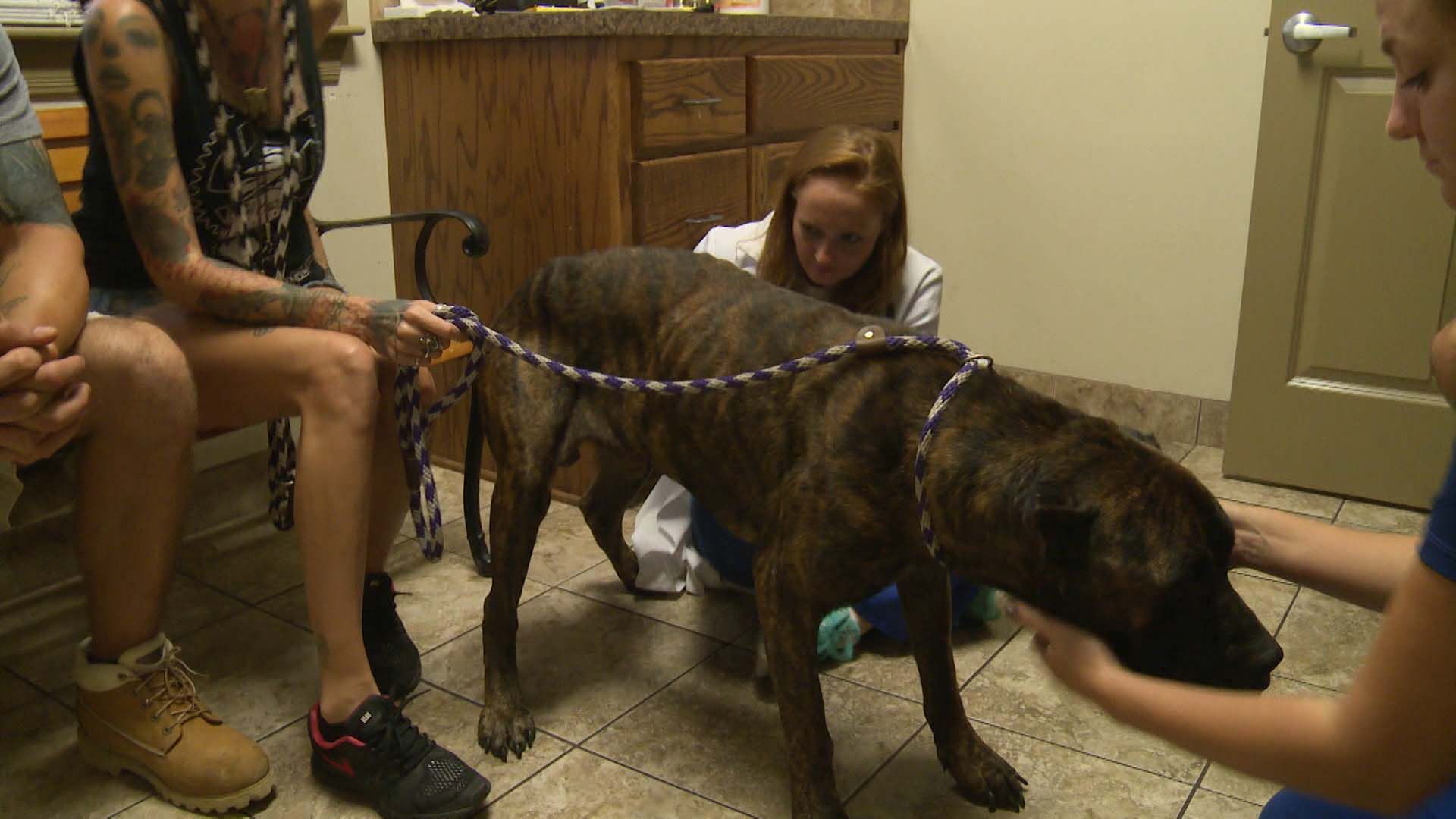 Unerwartetes Wiedersehen