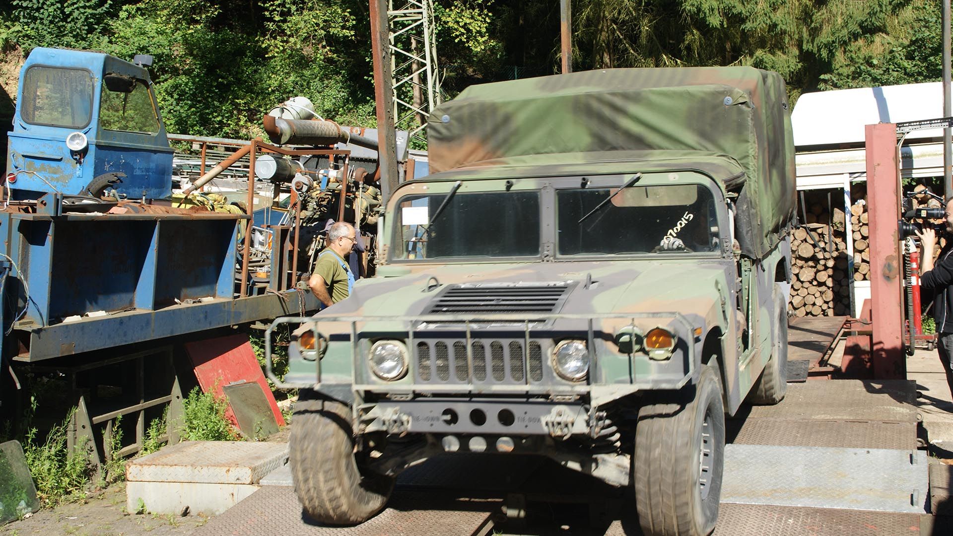 Schräger Wasservogel