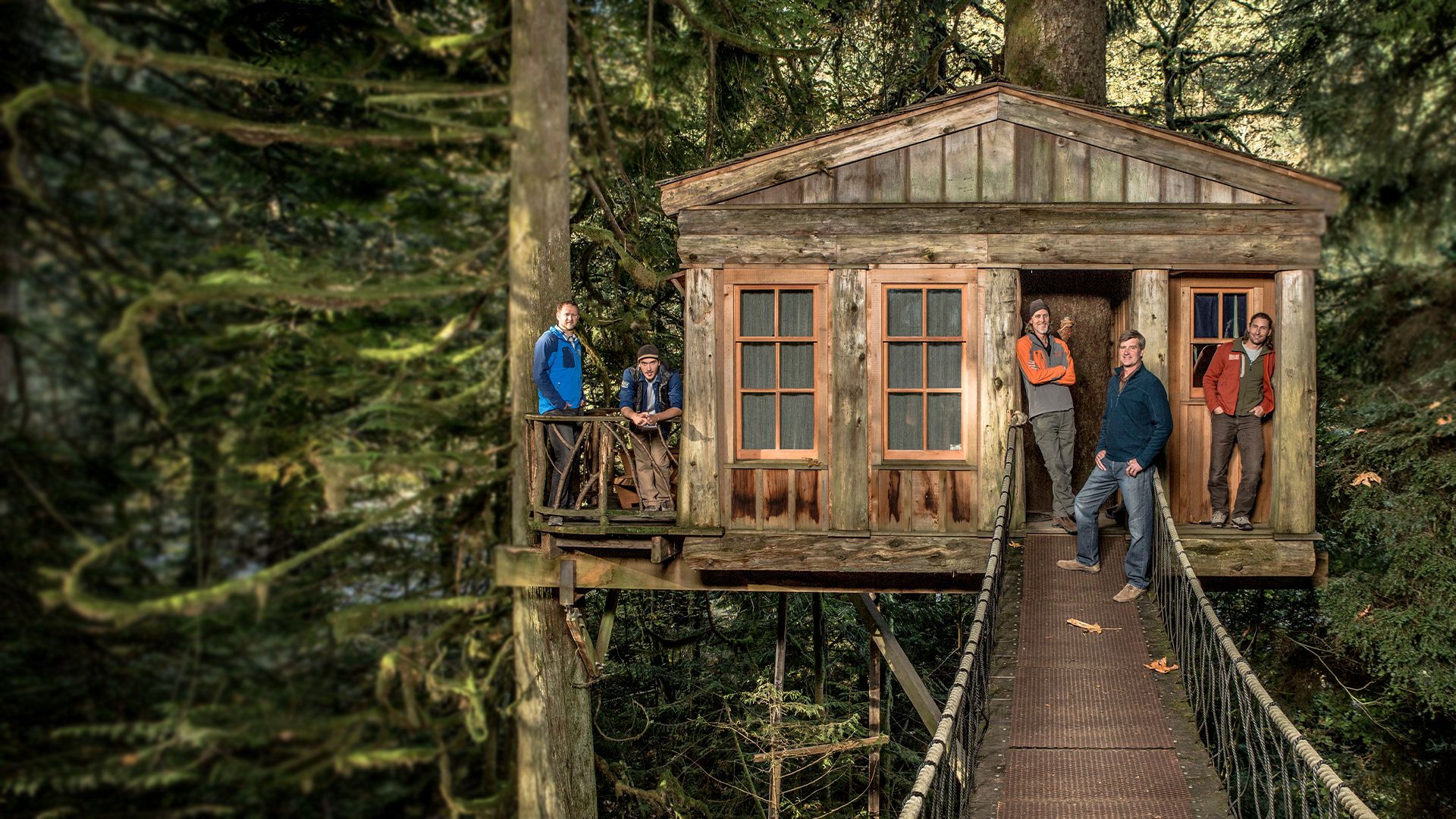 Die Baumhaus-Profis