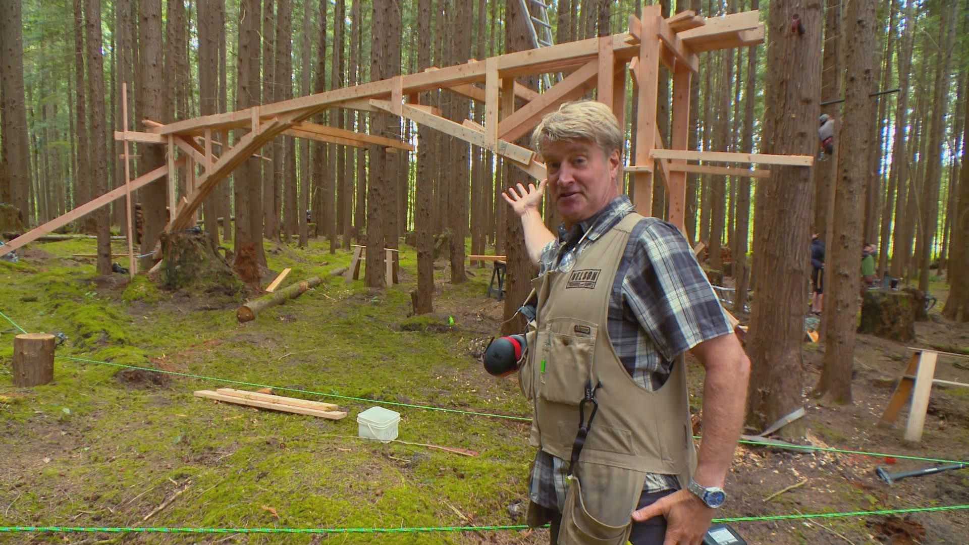 Das Kino im smaragdgrünen Wald