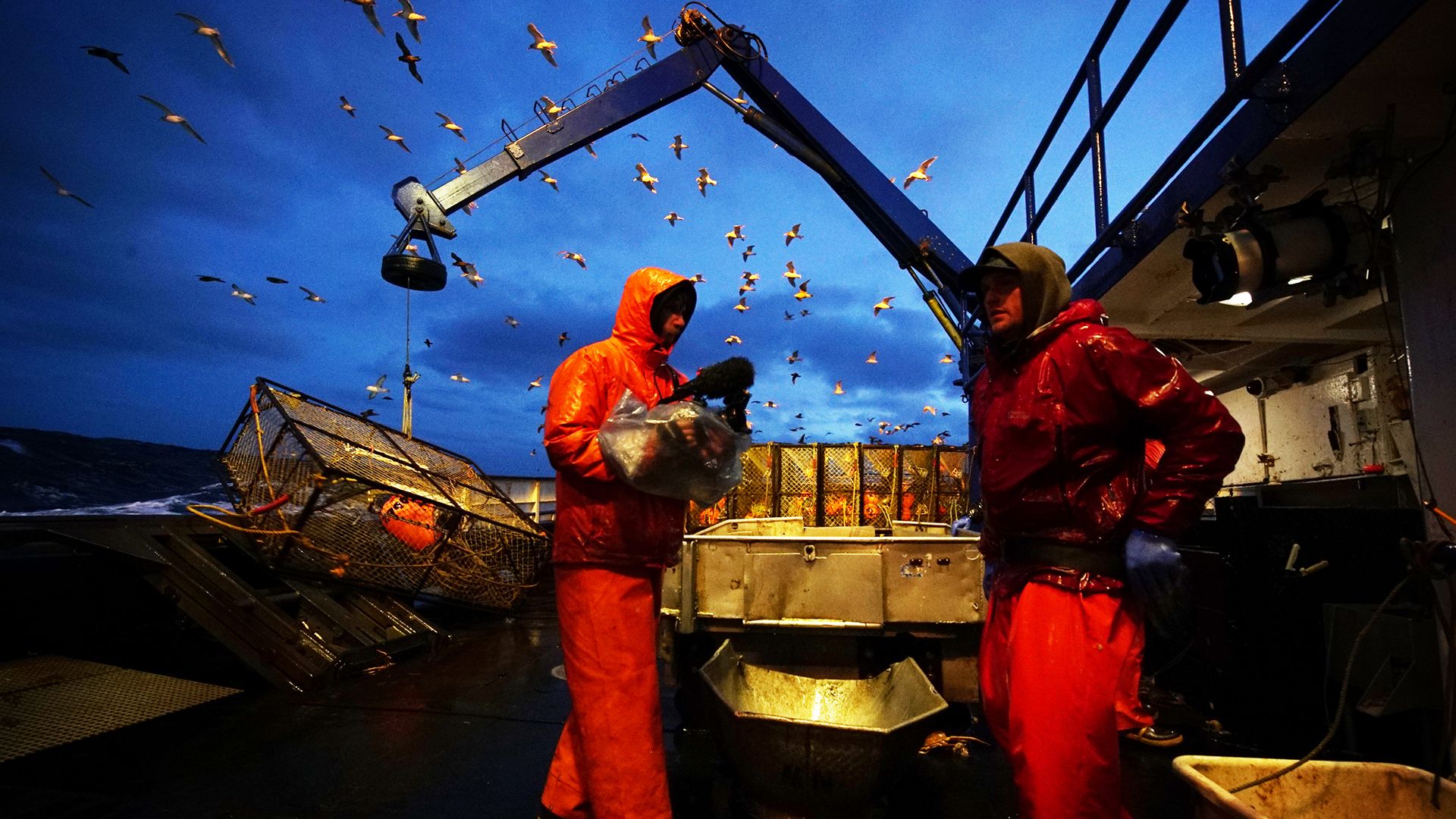 Kein Sturm kann uns stoppen!