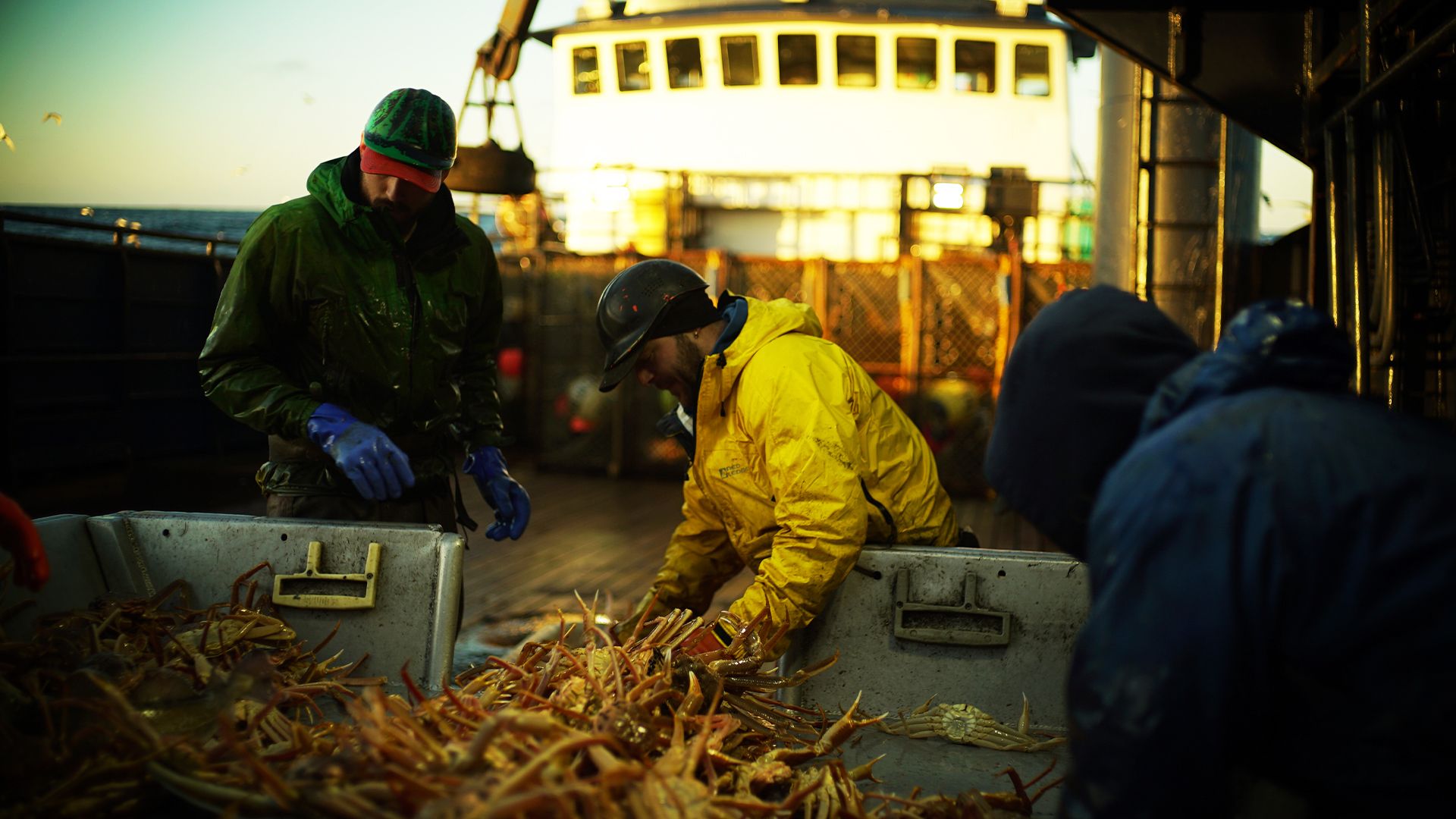Ein zweifelhaftes Bündnis