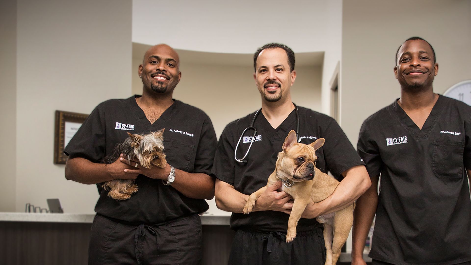 Die Tierärzte von Houston