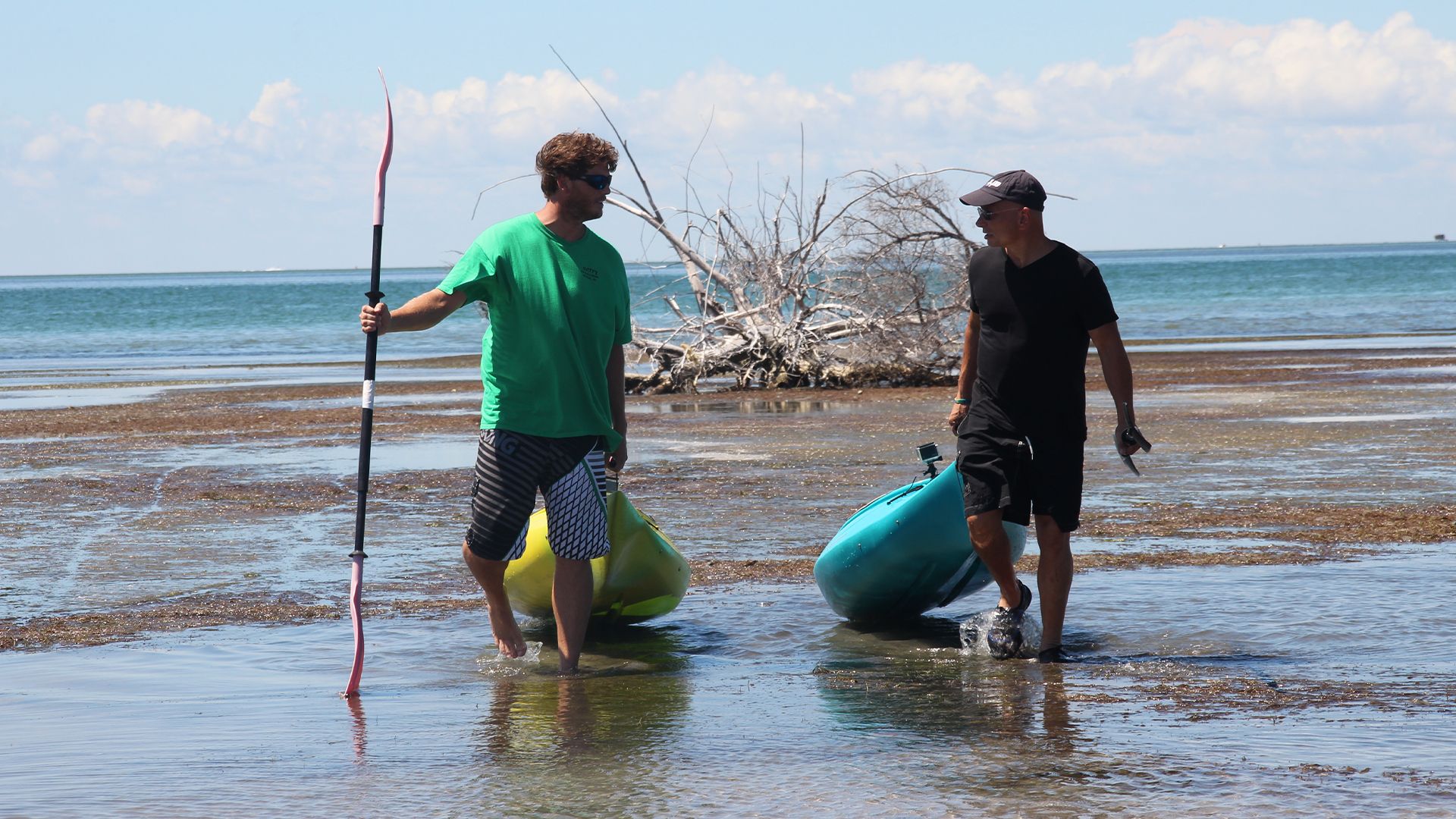 Bankrott in Cape Hatteras