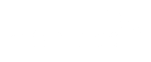 Die Beetschwestern - Traumgärten leicht gemacht